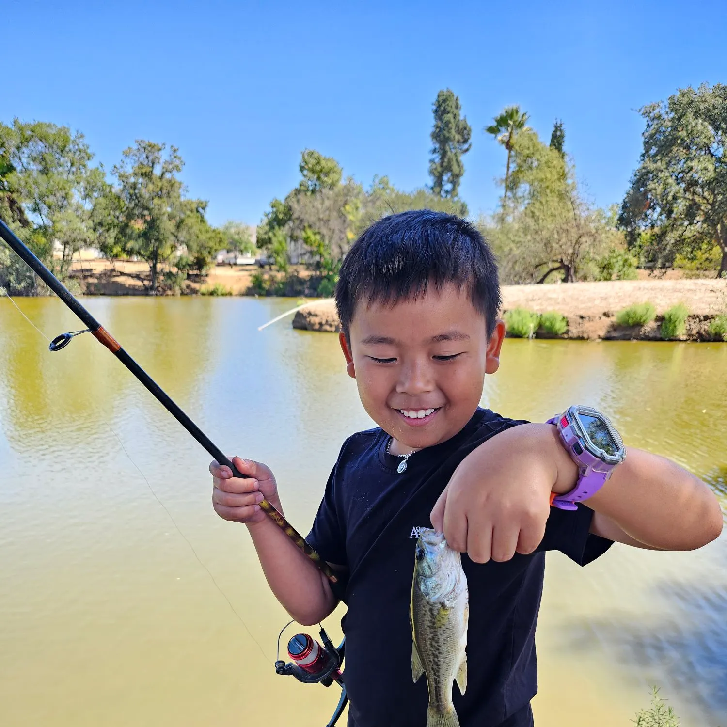 Largemouth bass caught on Fishbrain