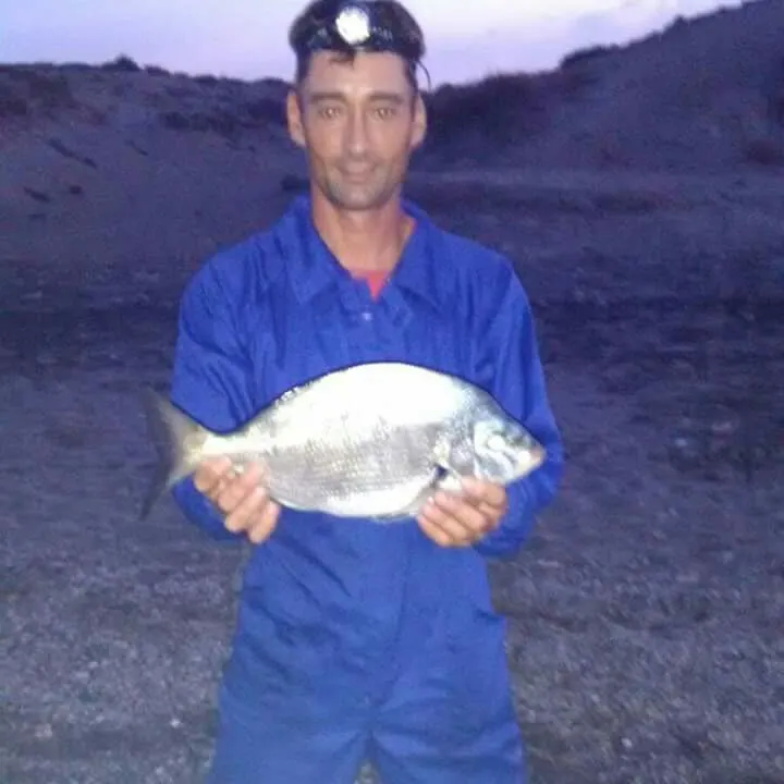 White seabream caught on Fishbrain