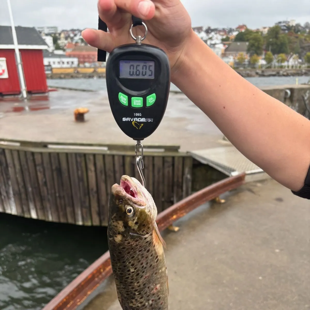 catch