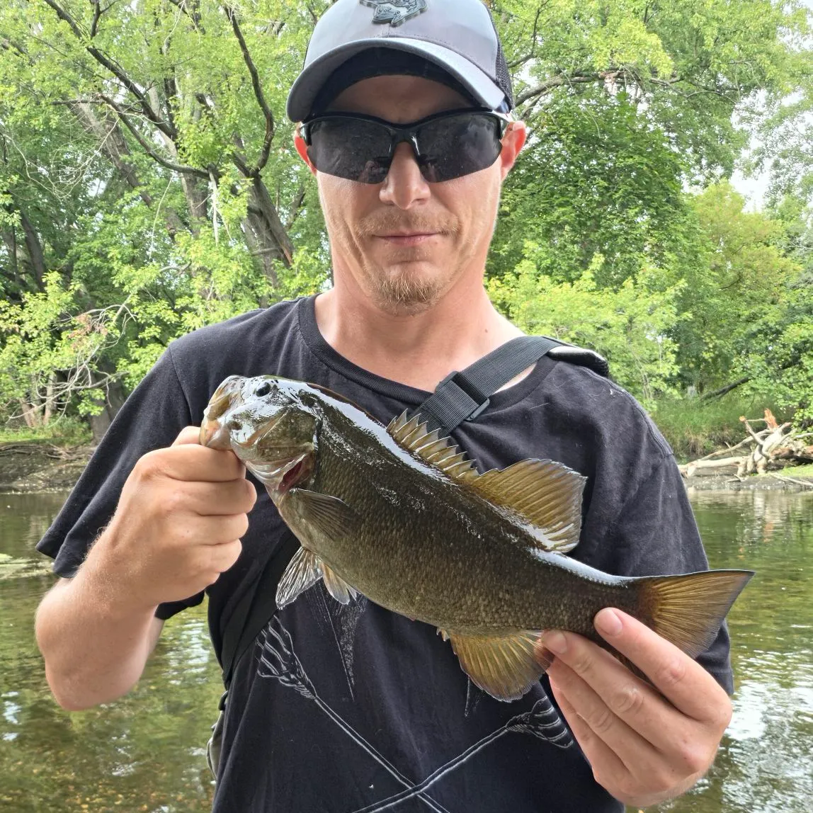 Smallmouth bass caught on Fishbrain
