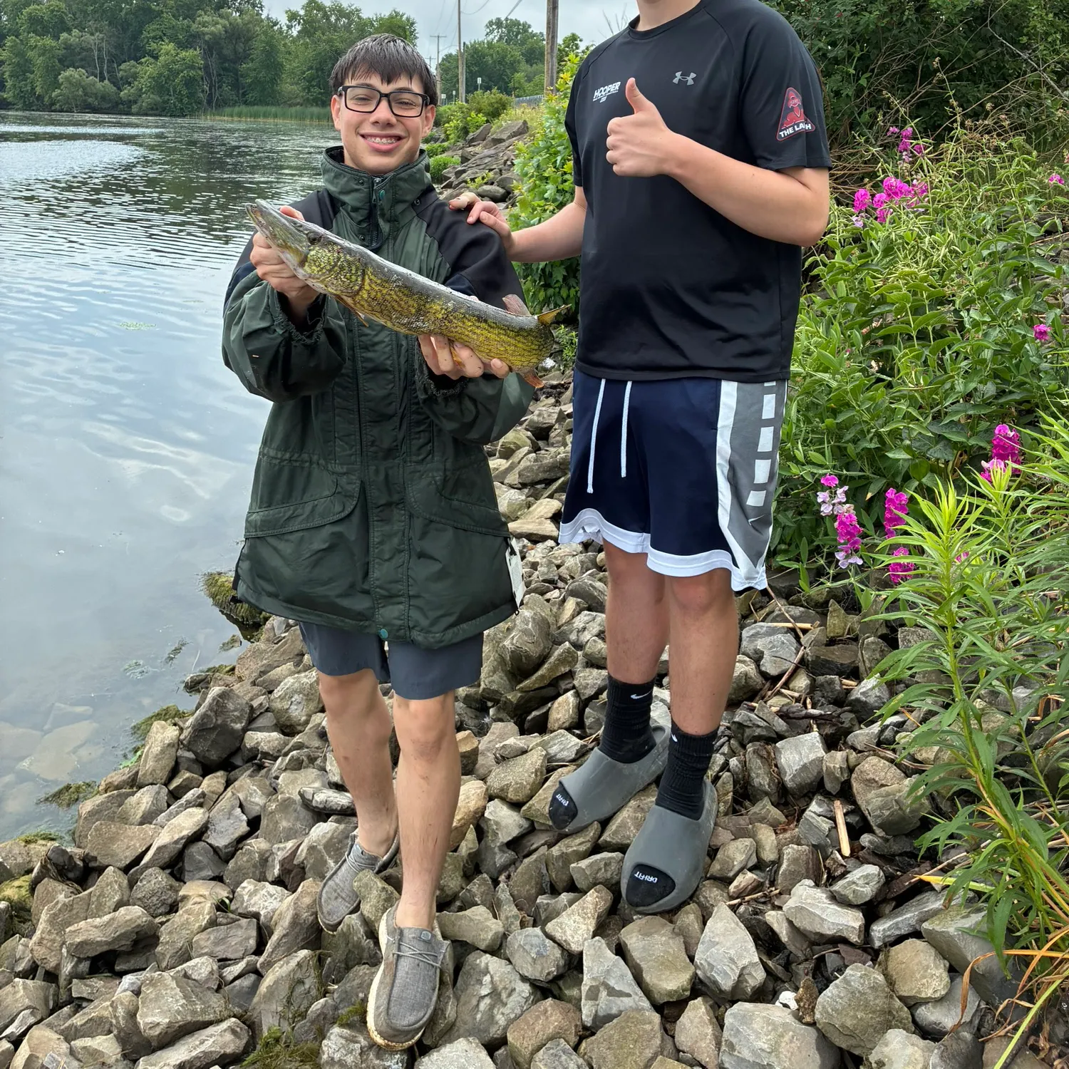 recently logged catches