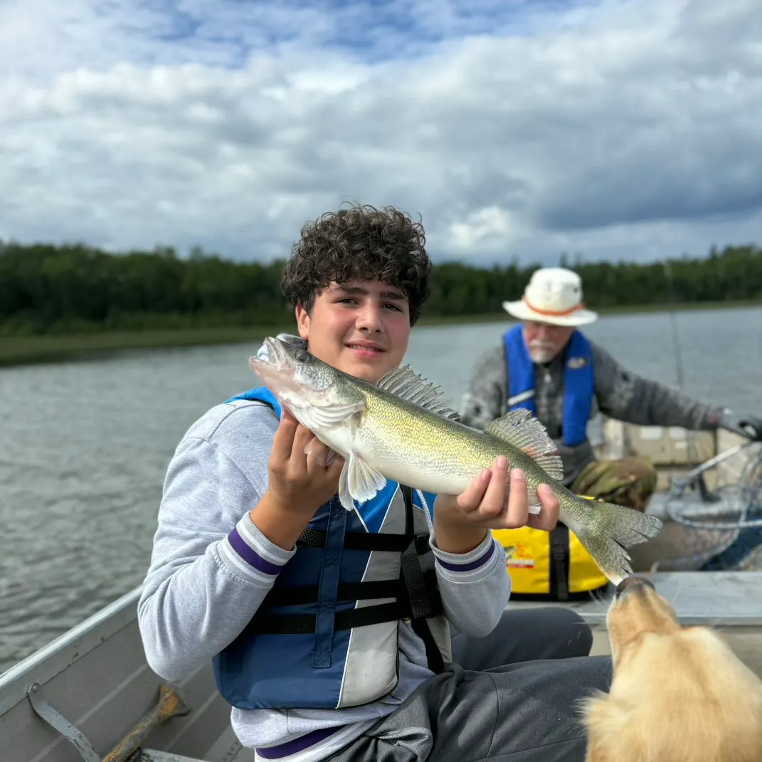 Walleye caught on Fishbrain