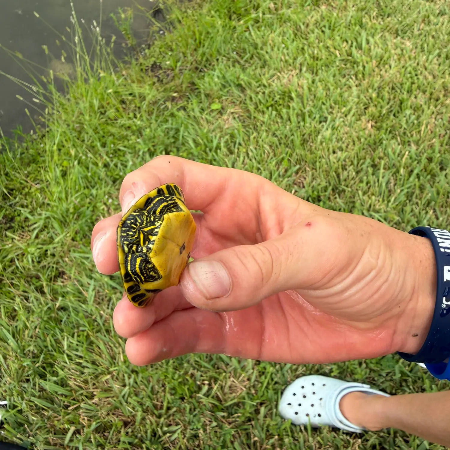 Fish caught on Fishbrain