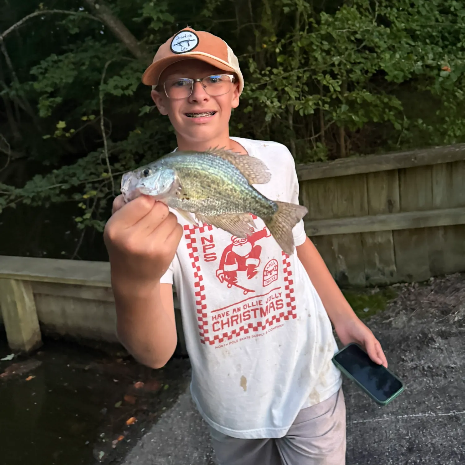 Black crappie caught on Fishbrain