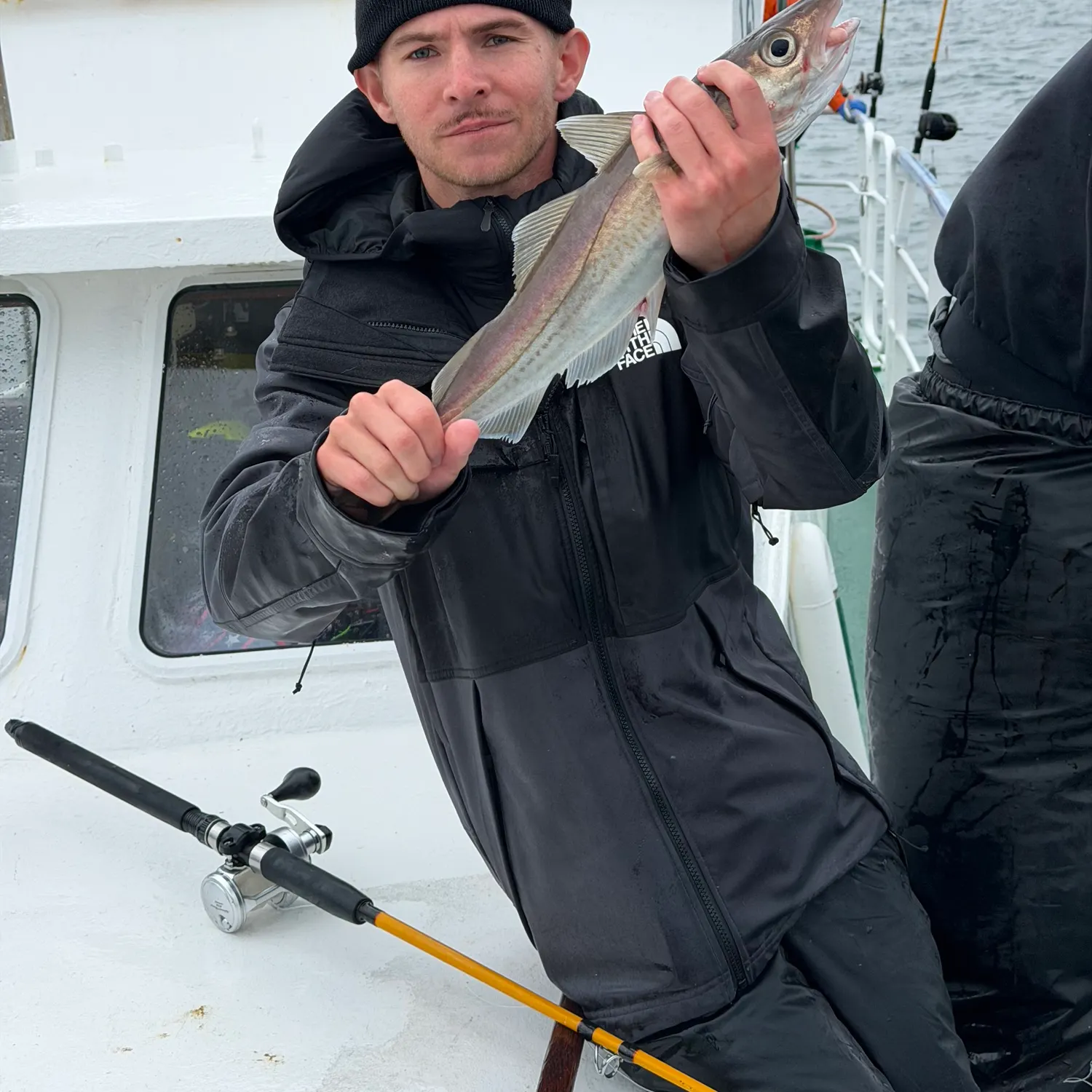 The most recent Haddock catches on Fishbrain