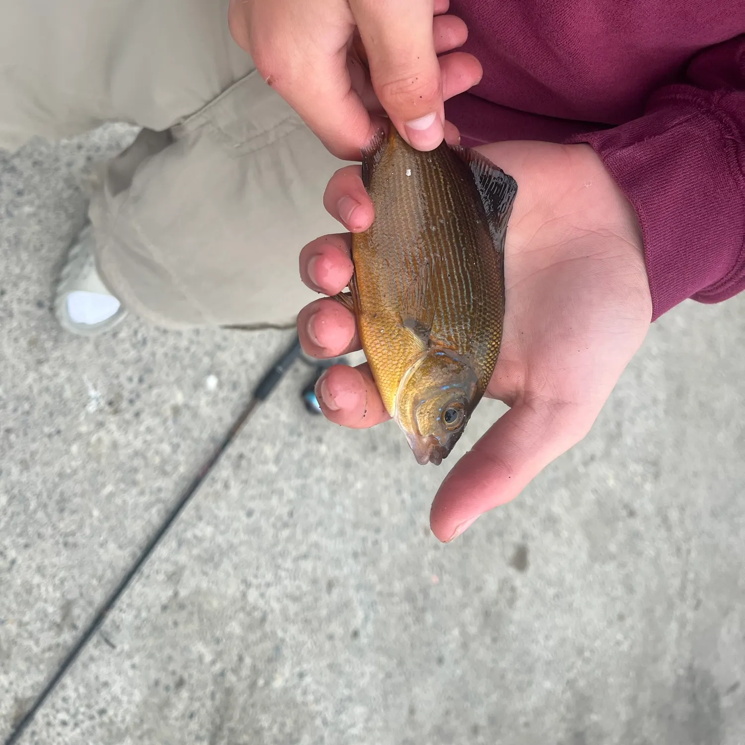 catch
