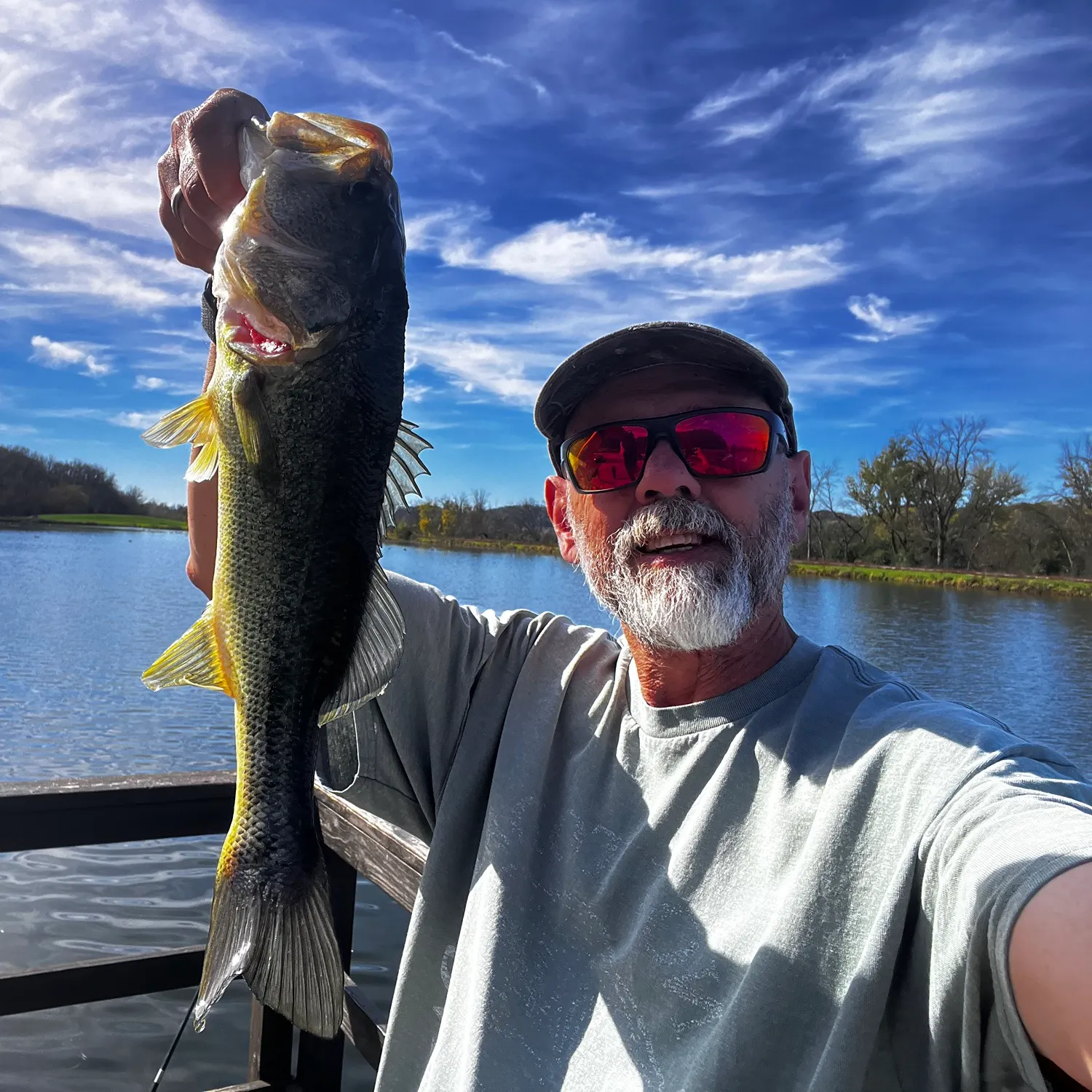 Largemouth bass caught on Fishbrain