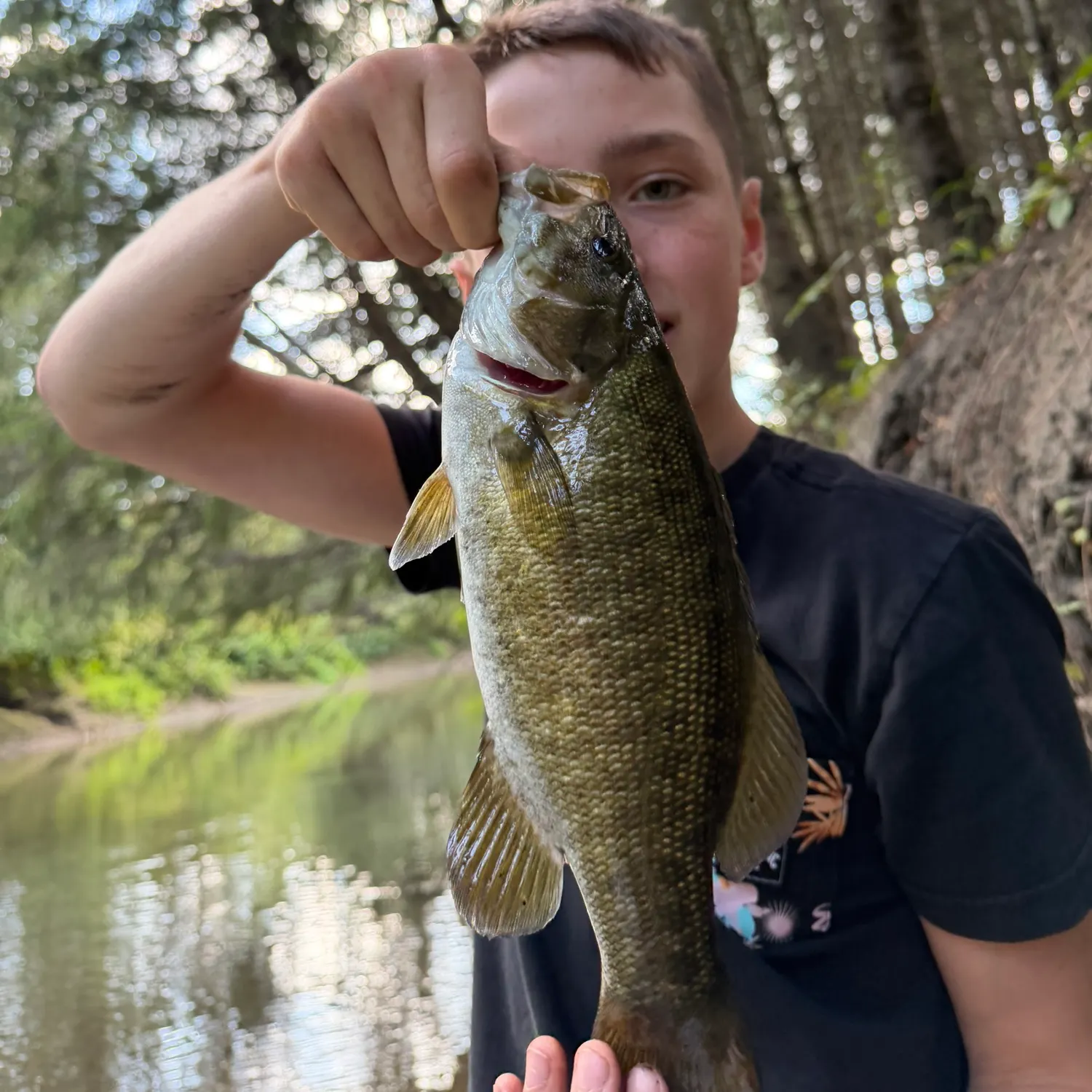 Smallmouth bass caught on Fishbrain