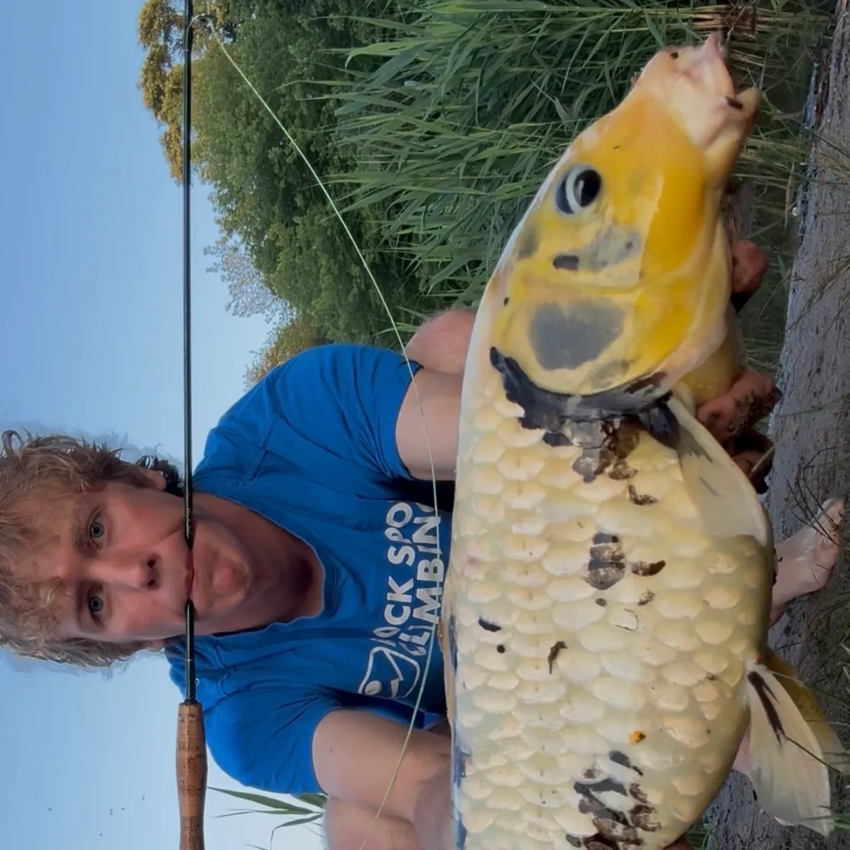 The most recent Koi carp catches on Fishbrain