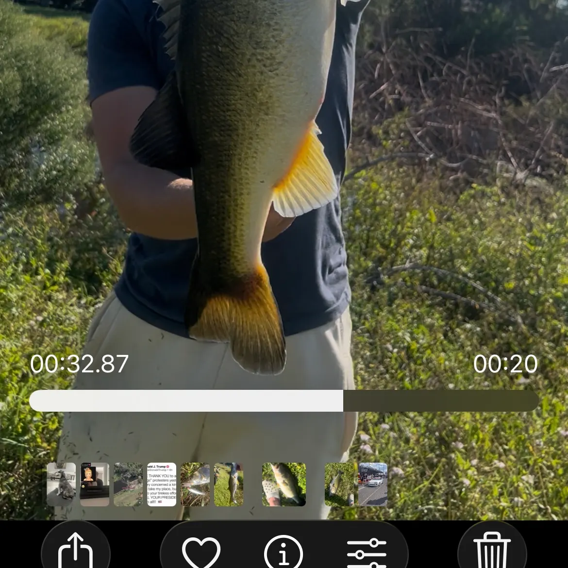 recently logged catches