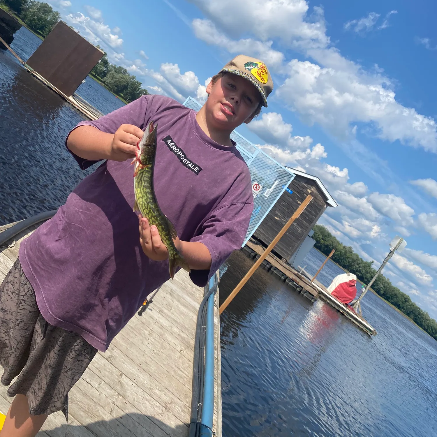The most recent Grass pickerel catches on Fishbrain