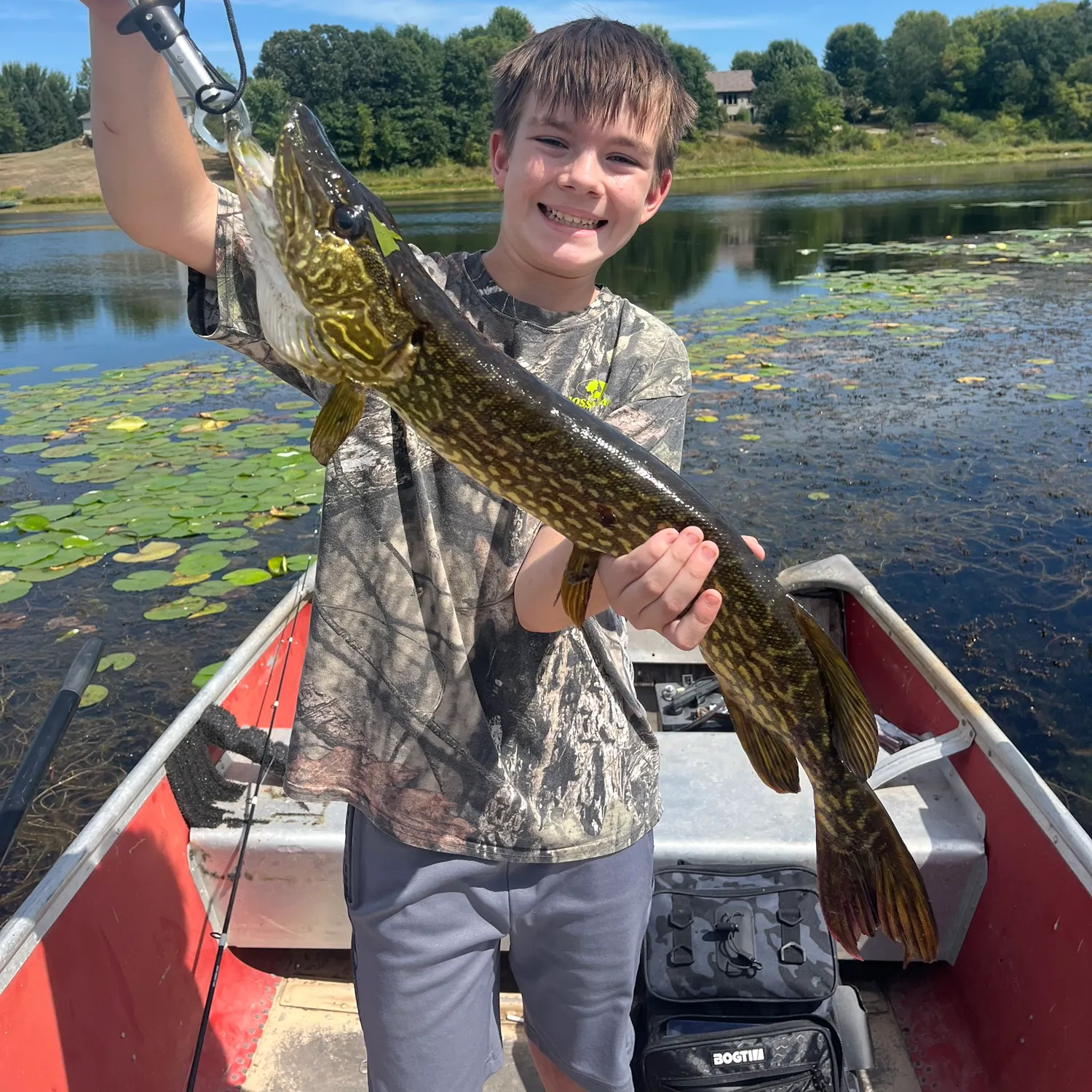 Northern pike caught on Fishbrain
