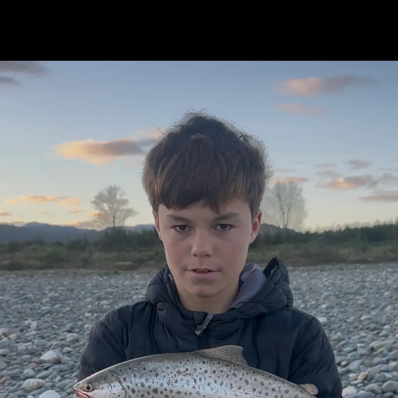 Brown trout caught on Fishbrain