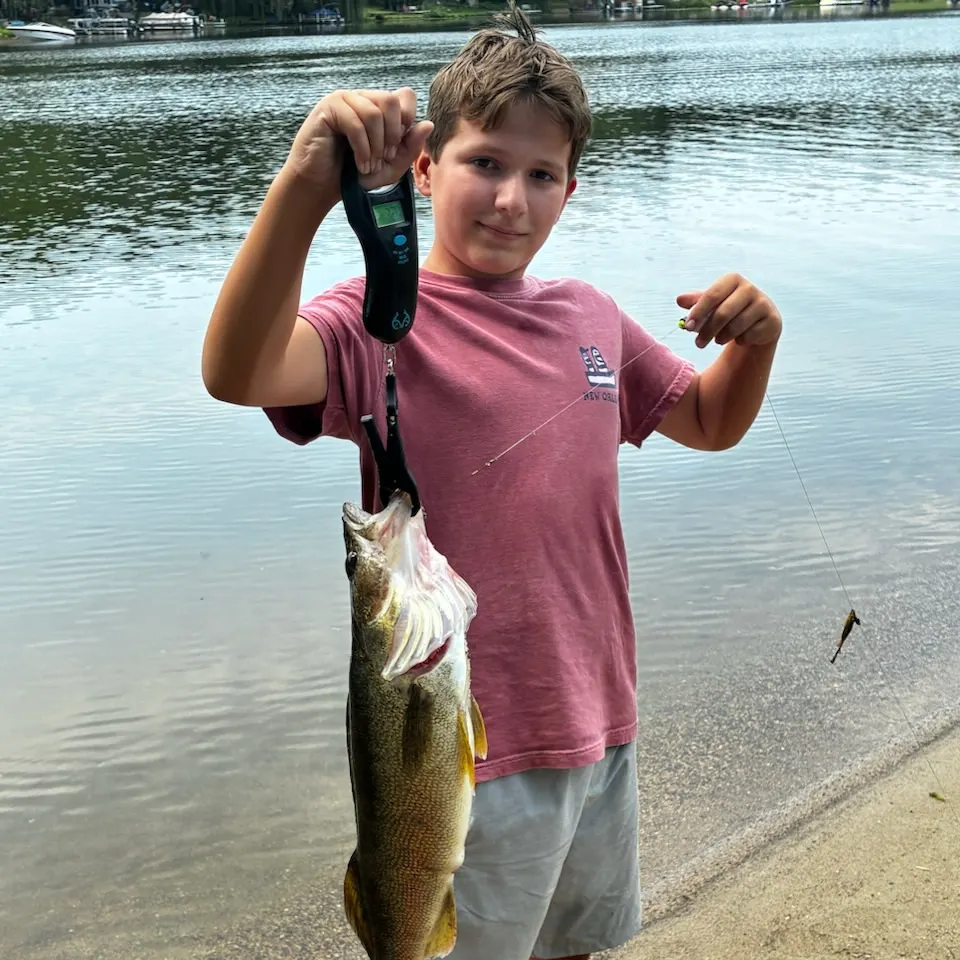 Walleye caught on Fishbrain