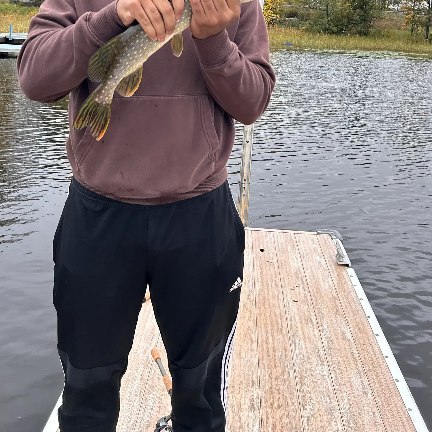 Northern pike caught on Fishbrain
