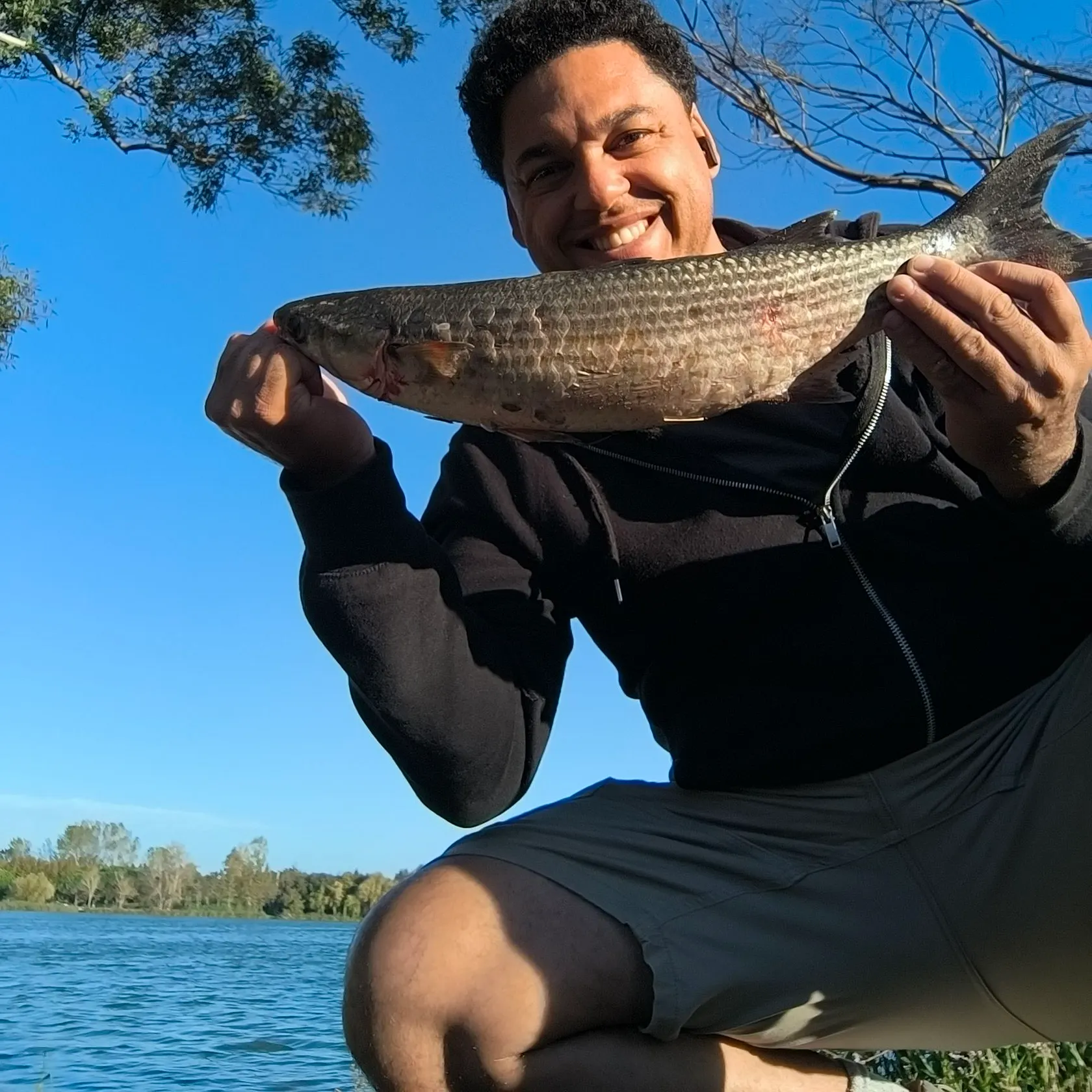 Striped mullet caught on Fishbrain