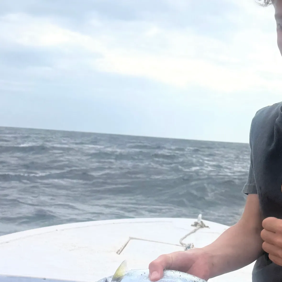 The most recent Australian barracuda catches on Fishbrain