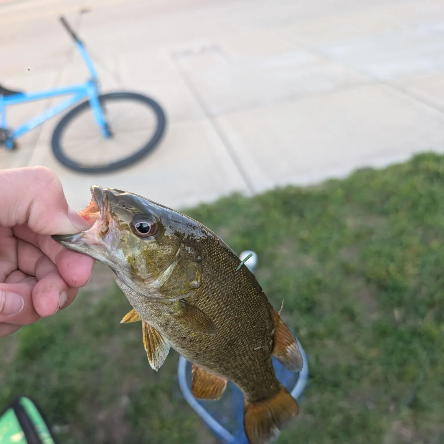catch