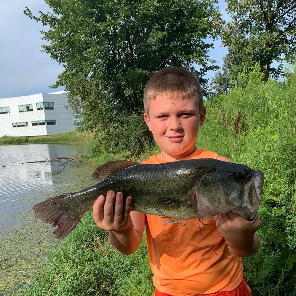 Fish caught on Fishbrain
