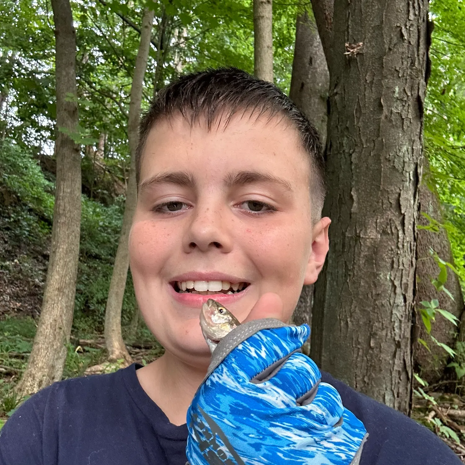 Creek chub caught on Fishbrain