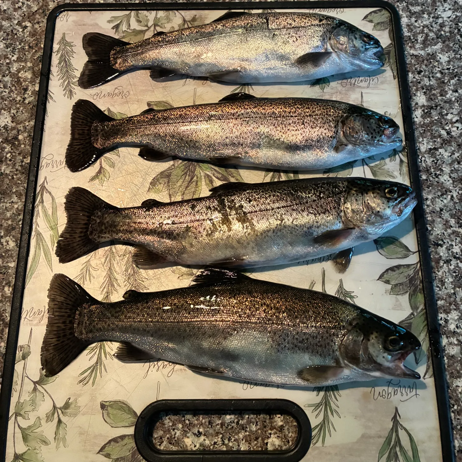 recently logged catches