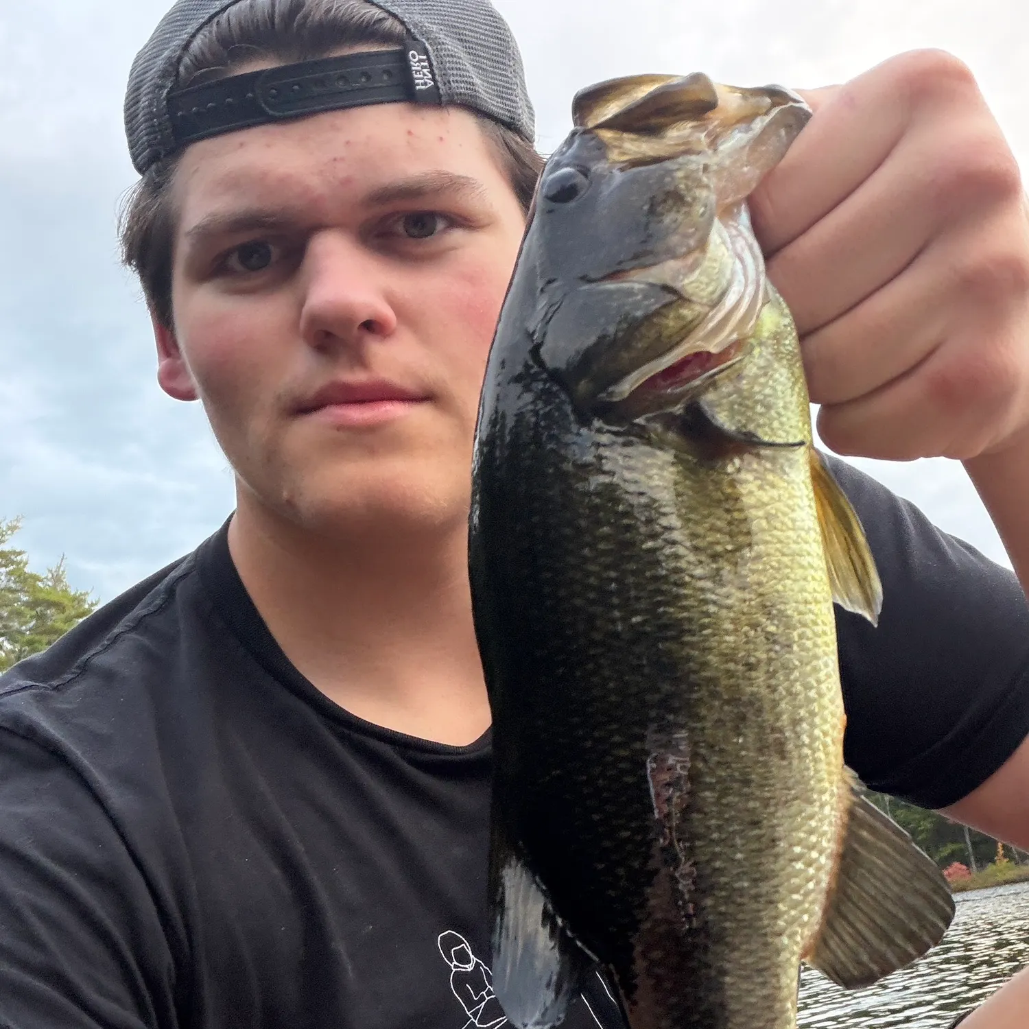 Largemouth bass caught on Fishbrain