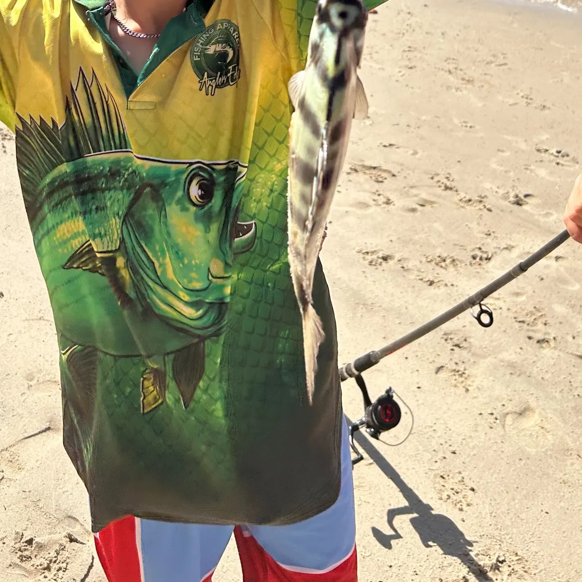 The most recent Zebra fish catches on Fishbrain