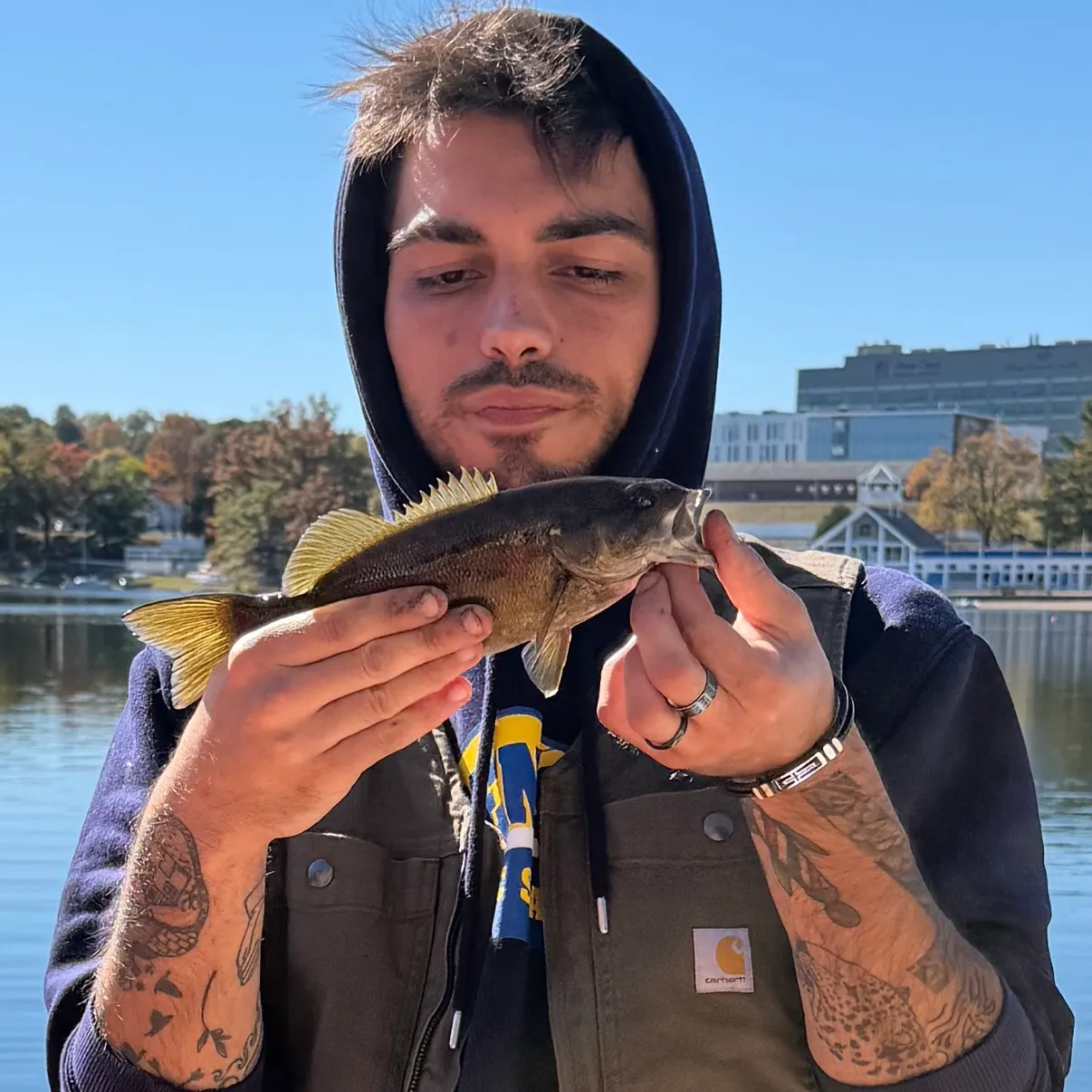 Smallmouth bass caught on Fishbrain