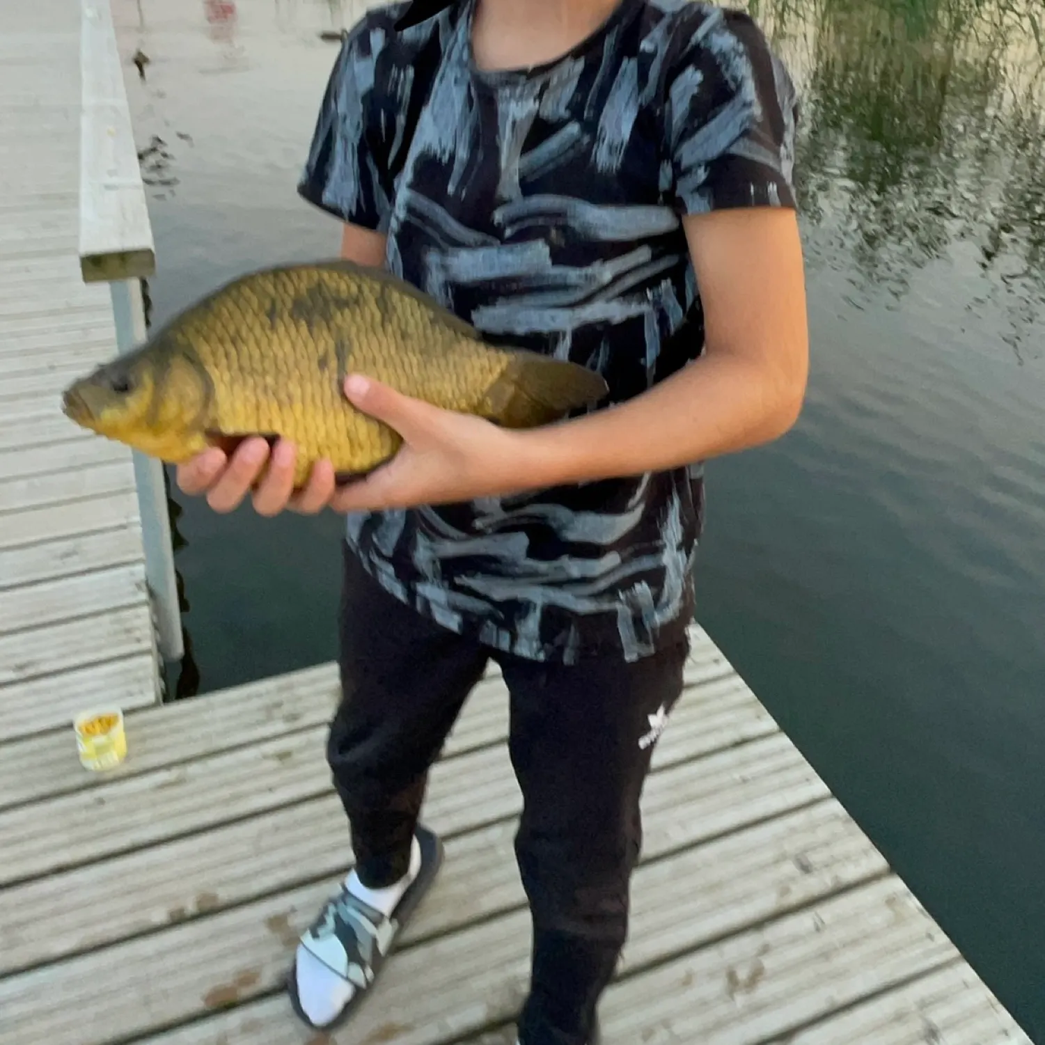 most liked catch image