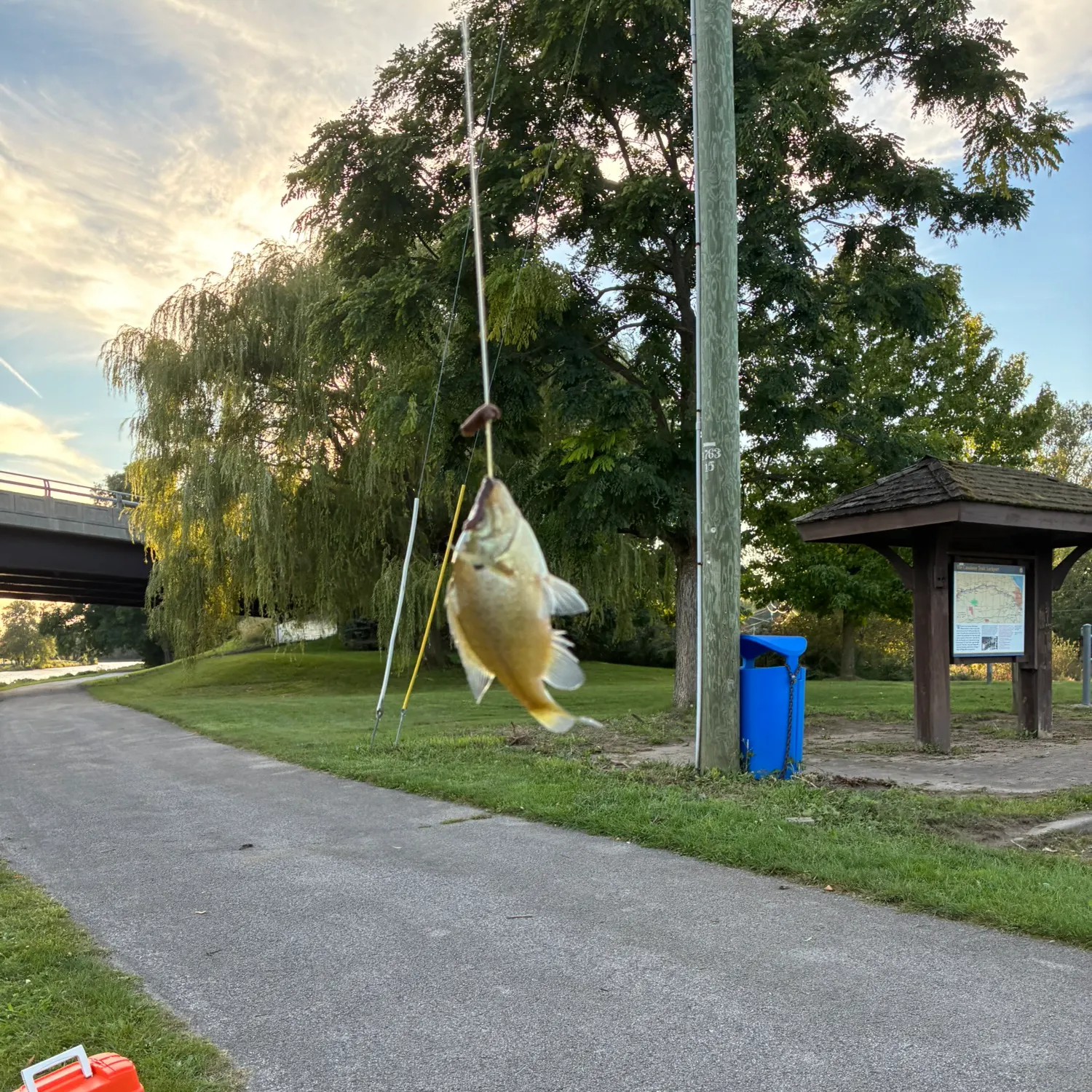 catch