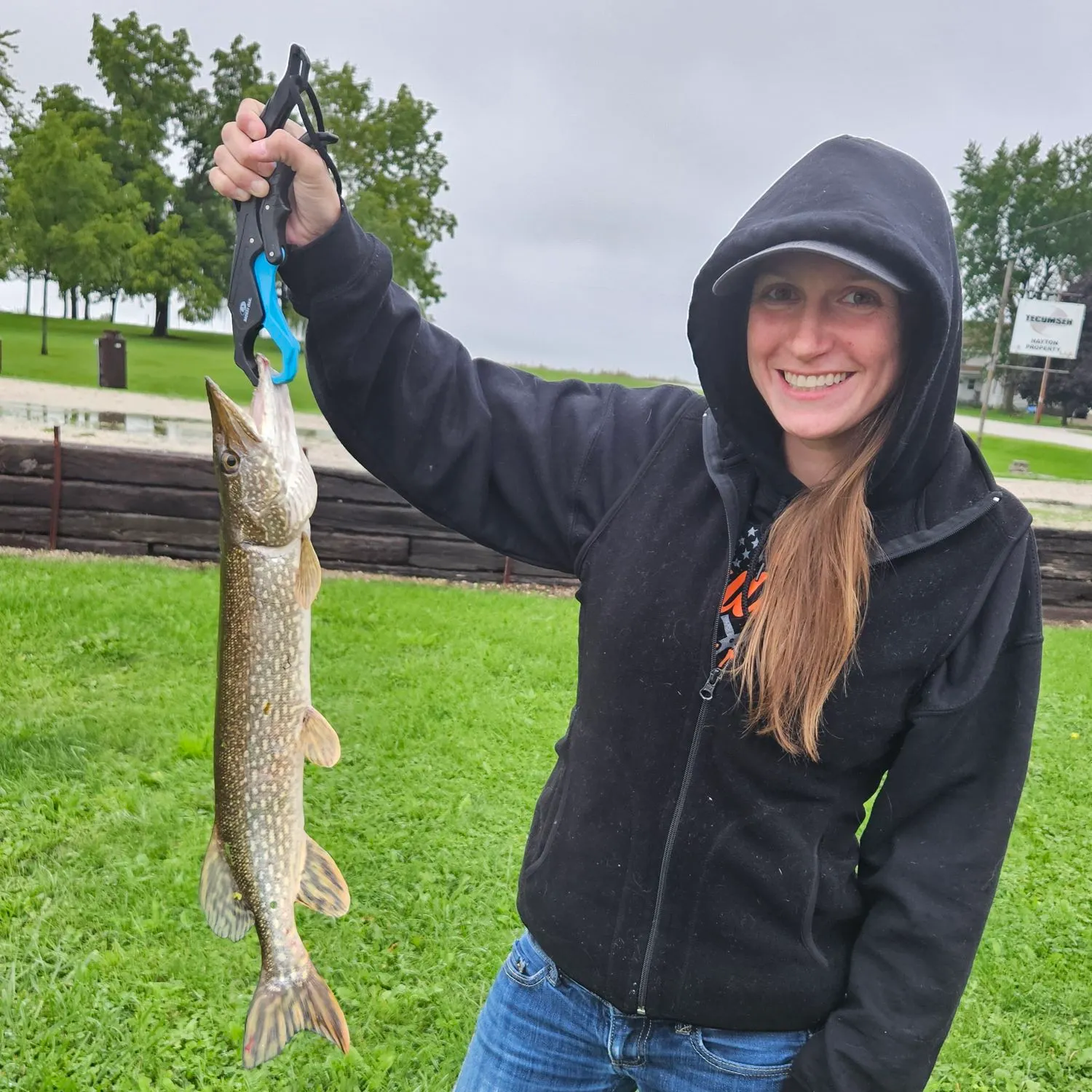 Northern pike caught on Fishbrain