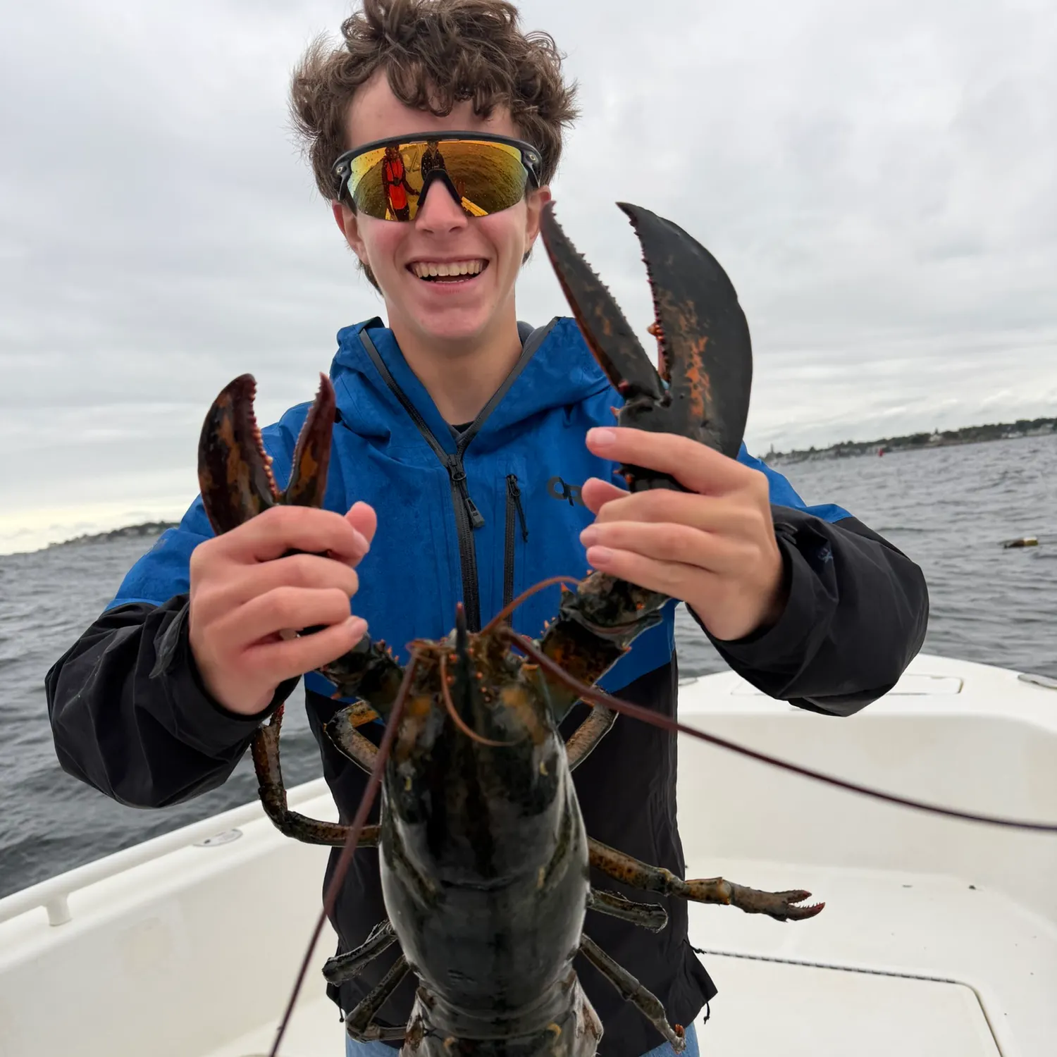 The most recent American lobster catches on Fishbrain