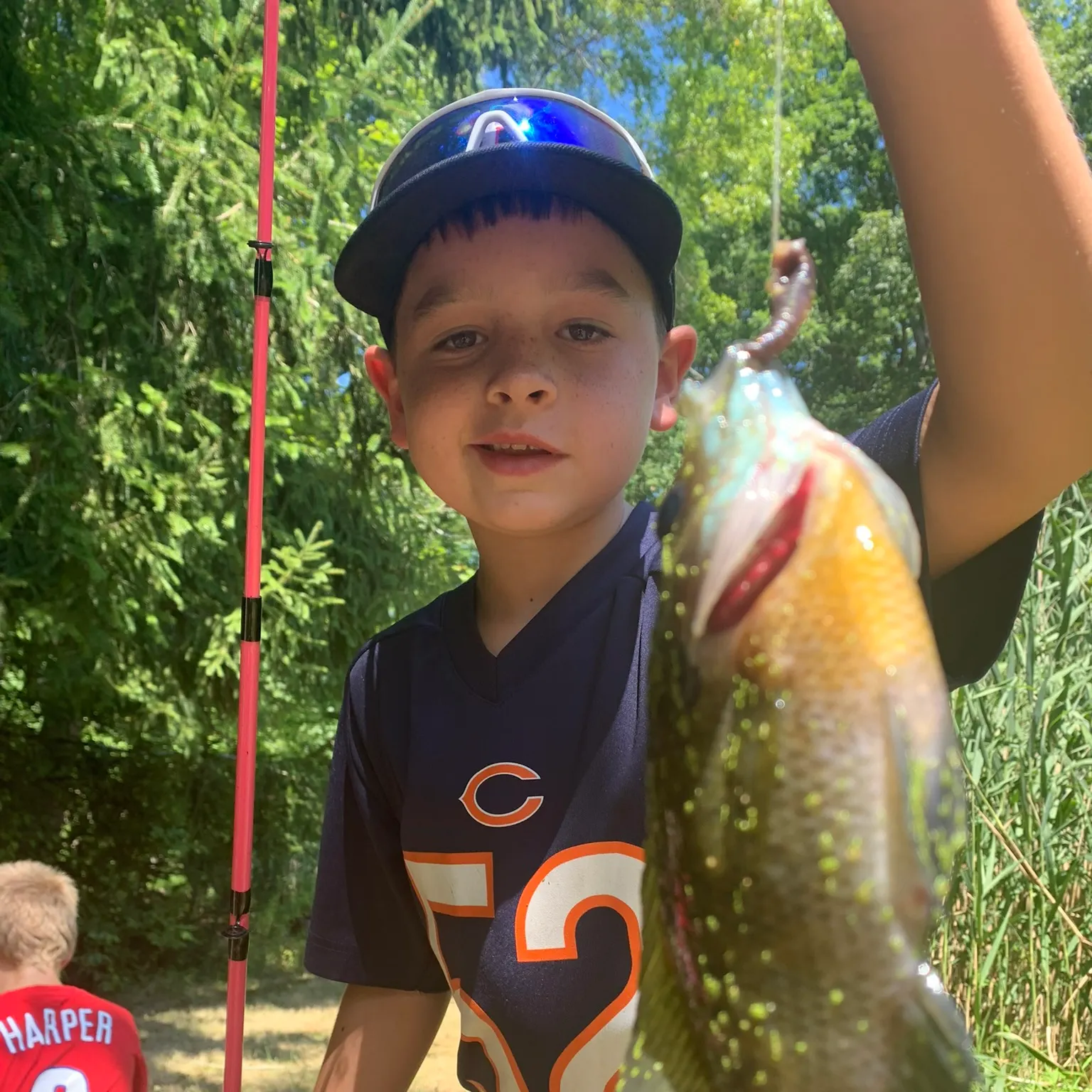 The most recent Pumpkinseed x green sunfish catches on Fishbrain