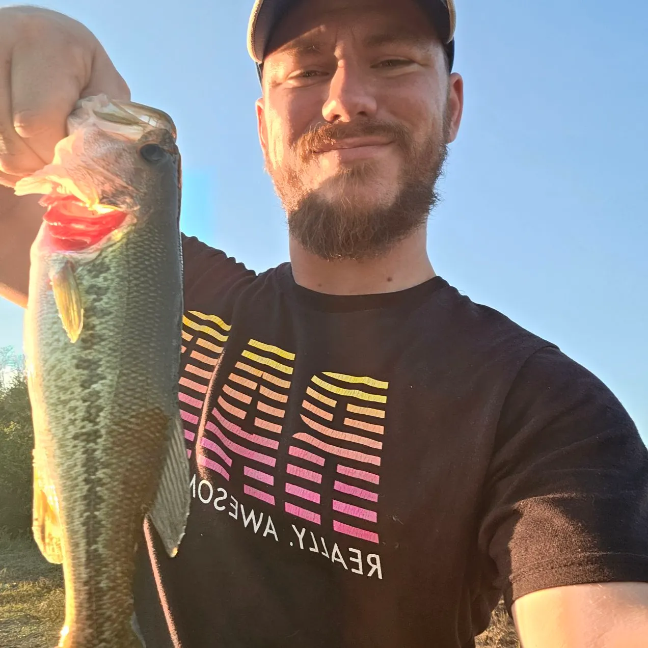 Largemouth bass caught on Fishbrain