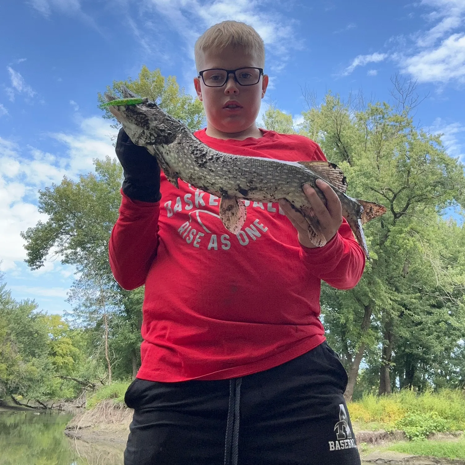 Northern pike caught on Fishbrain