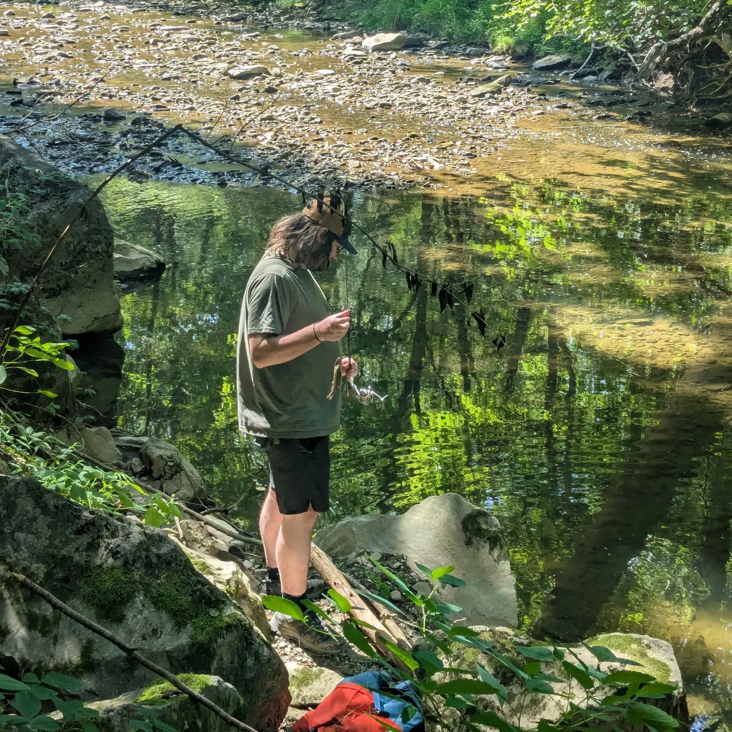 The most recent Dark chub catches on Fishbrain