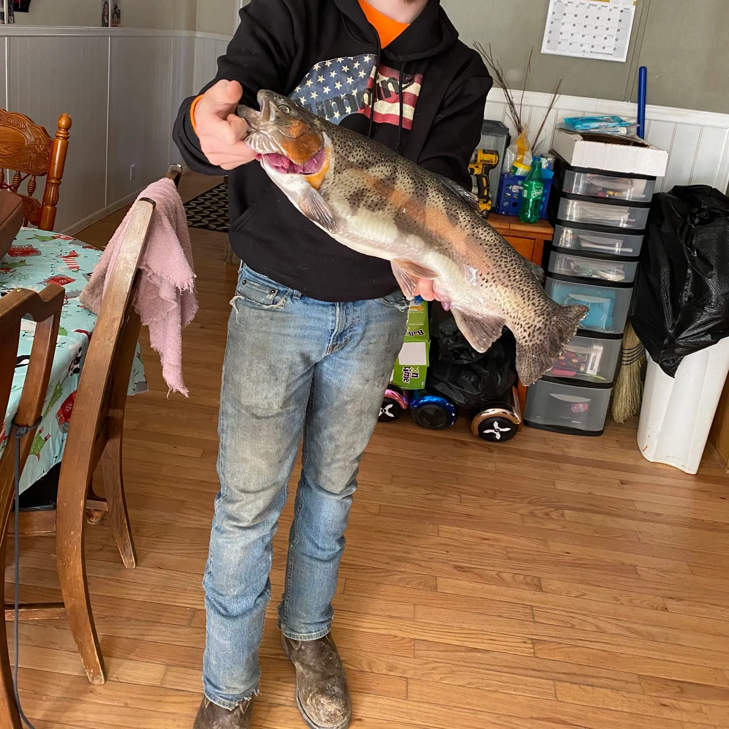 recently logged catches