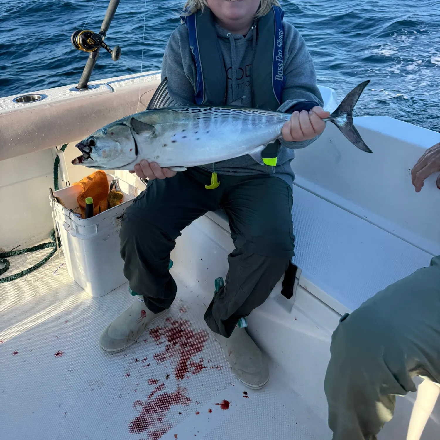 Little tunny caught on Fishbrain
