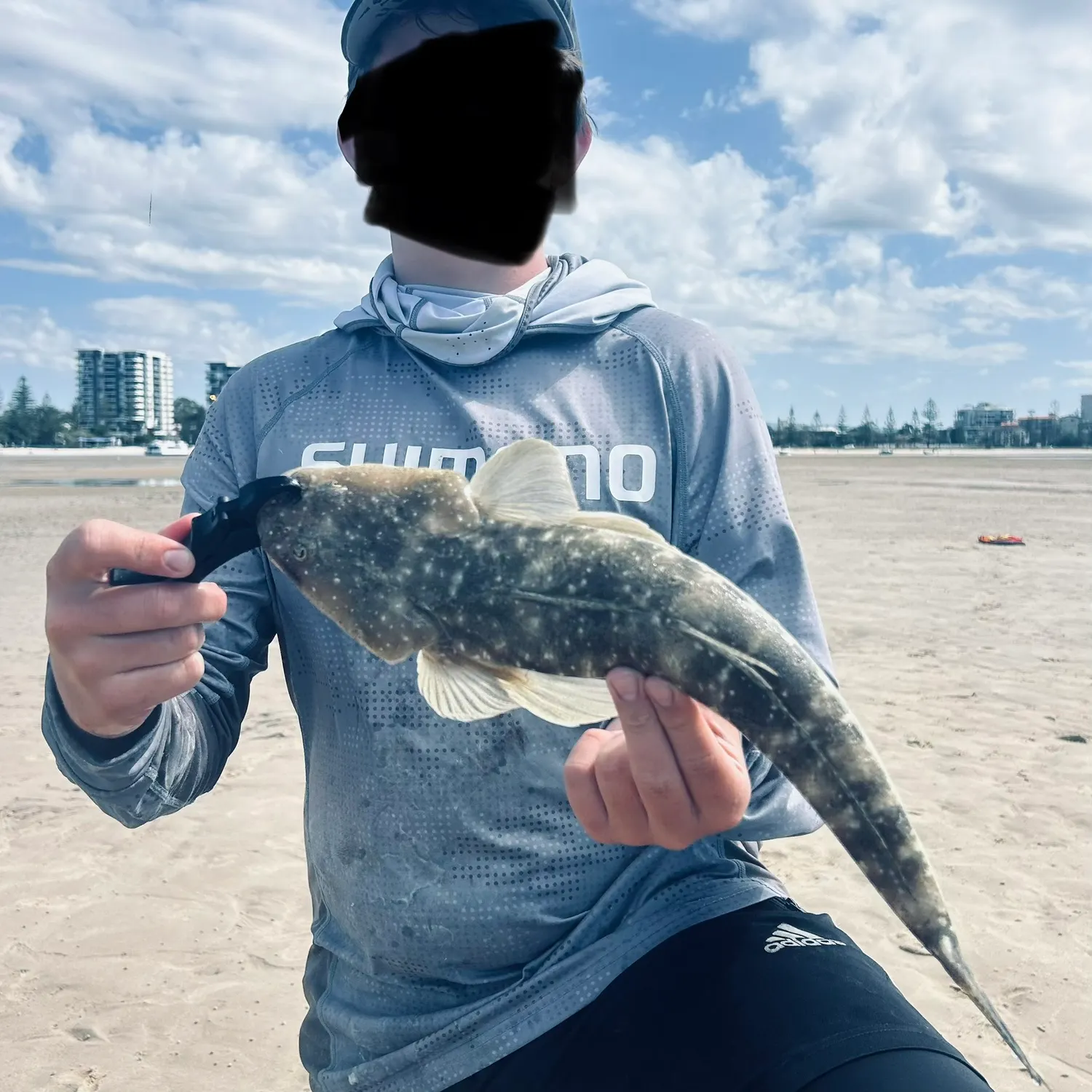 The most recent Dusky flathead catches on Fishbrain