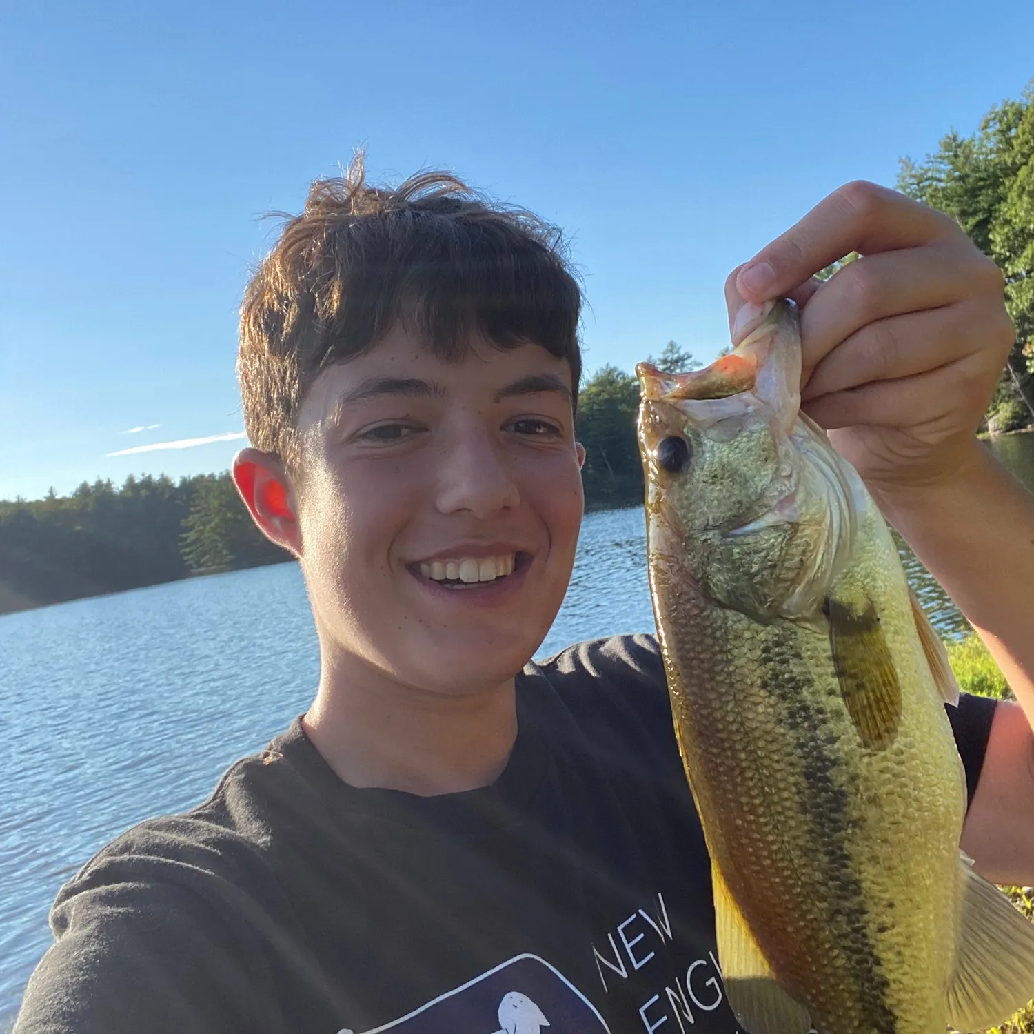 Largemouth bass caught on Fishbrain