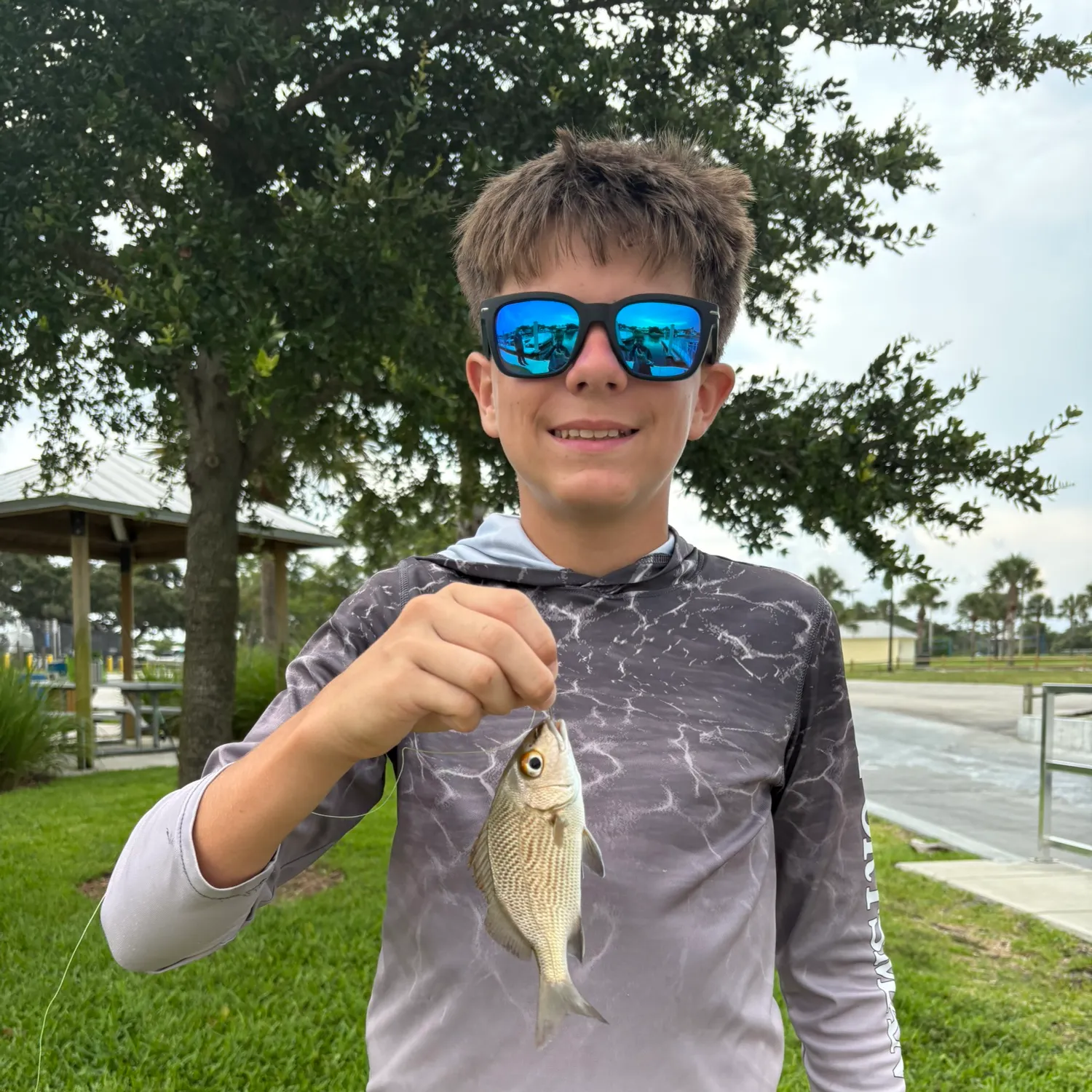 The most recent Sailor's choice grunt catches on Fishbrain