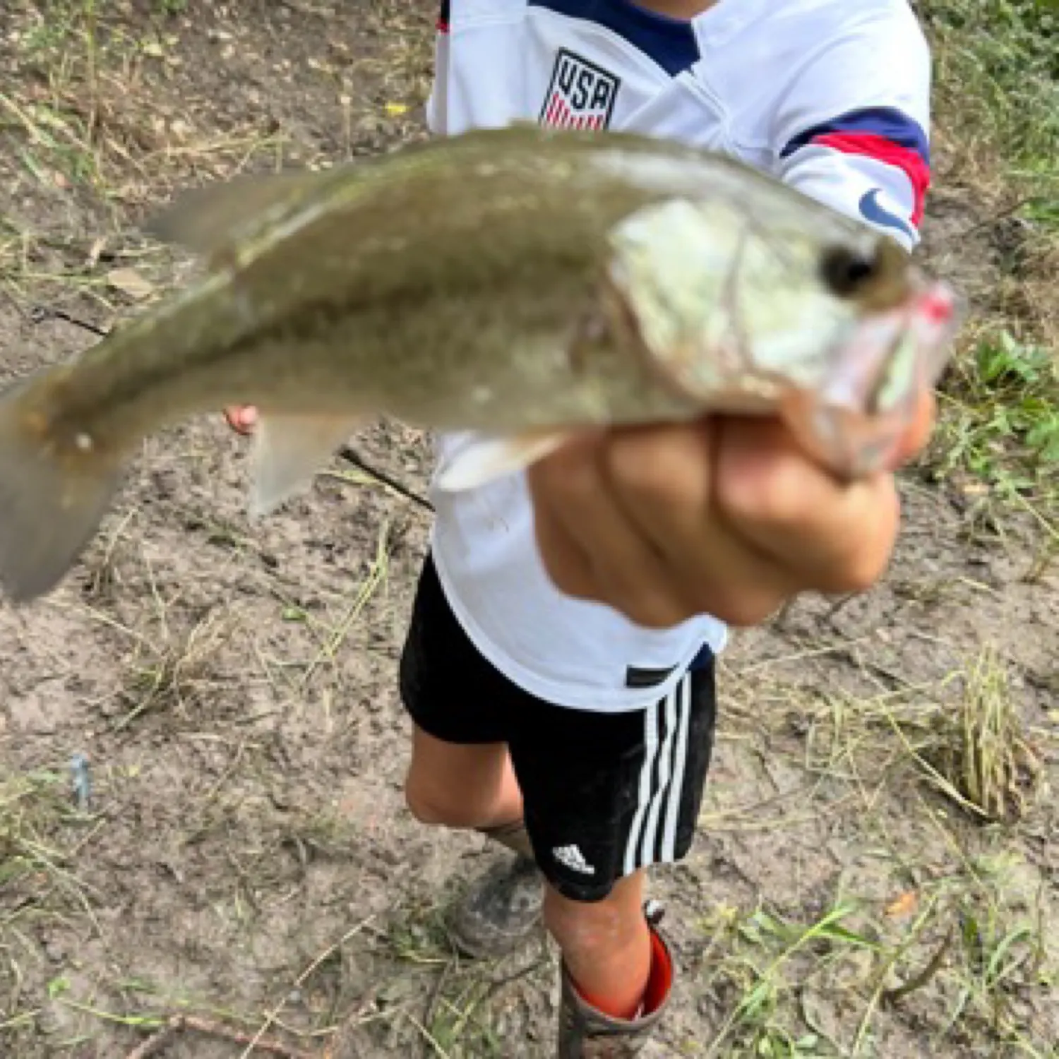 angler catch