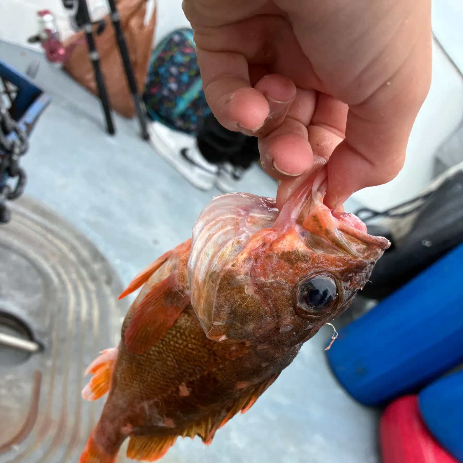 catch