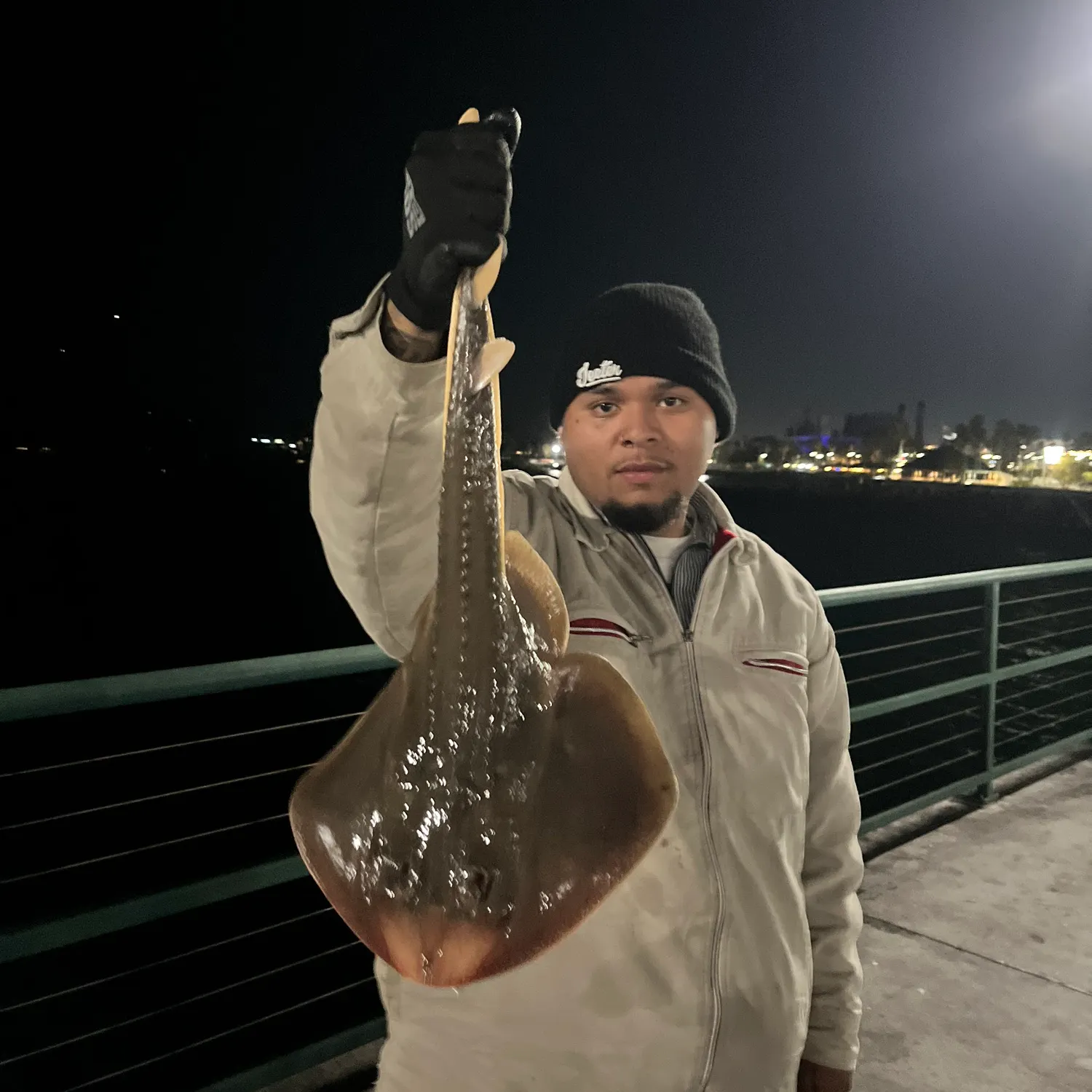 The most recent Thornback ray catches on Fishbrain
