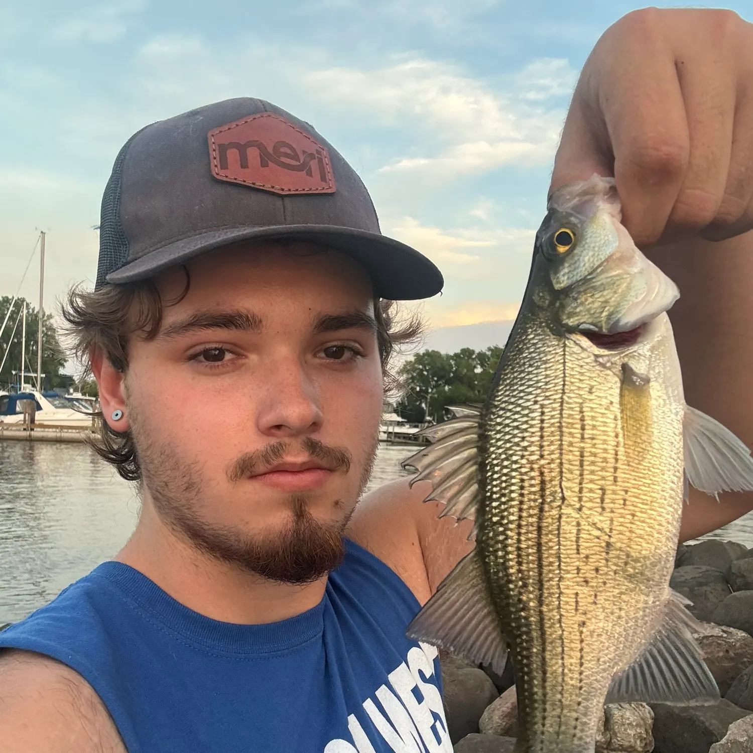 White bass caught on Fishbrain