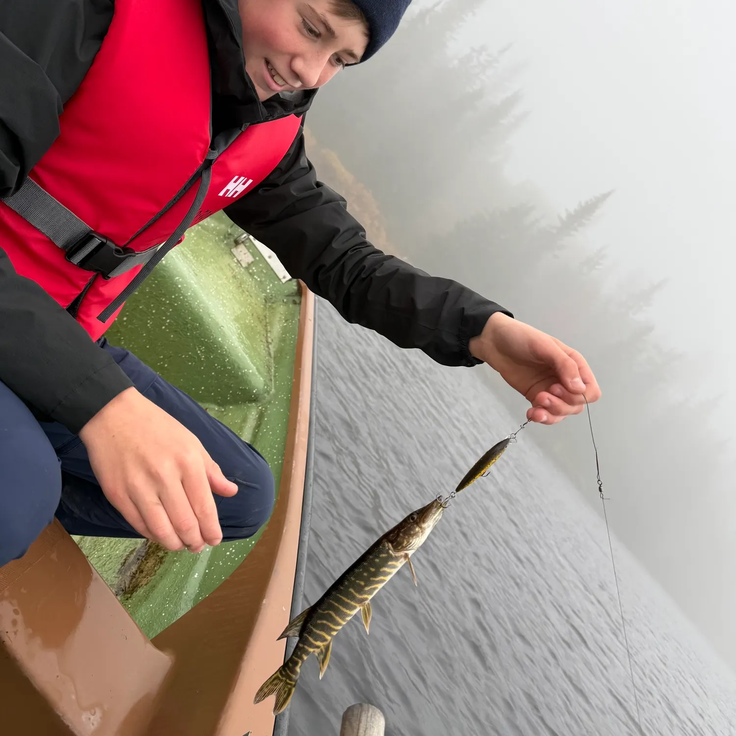 Northern pike caught on Fishbrain