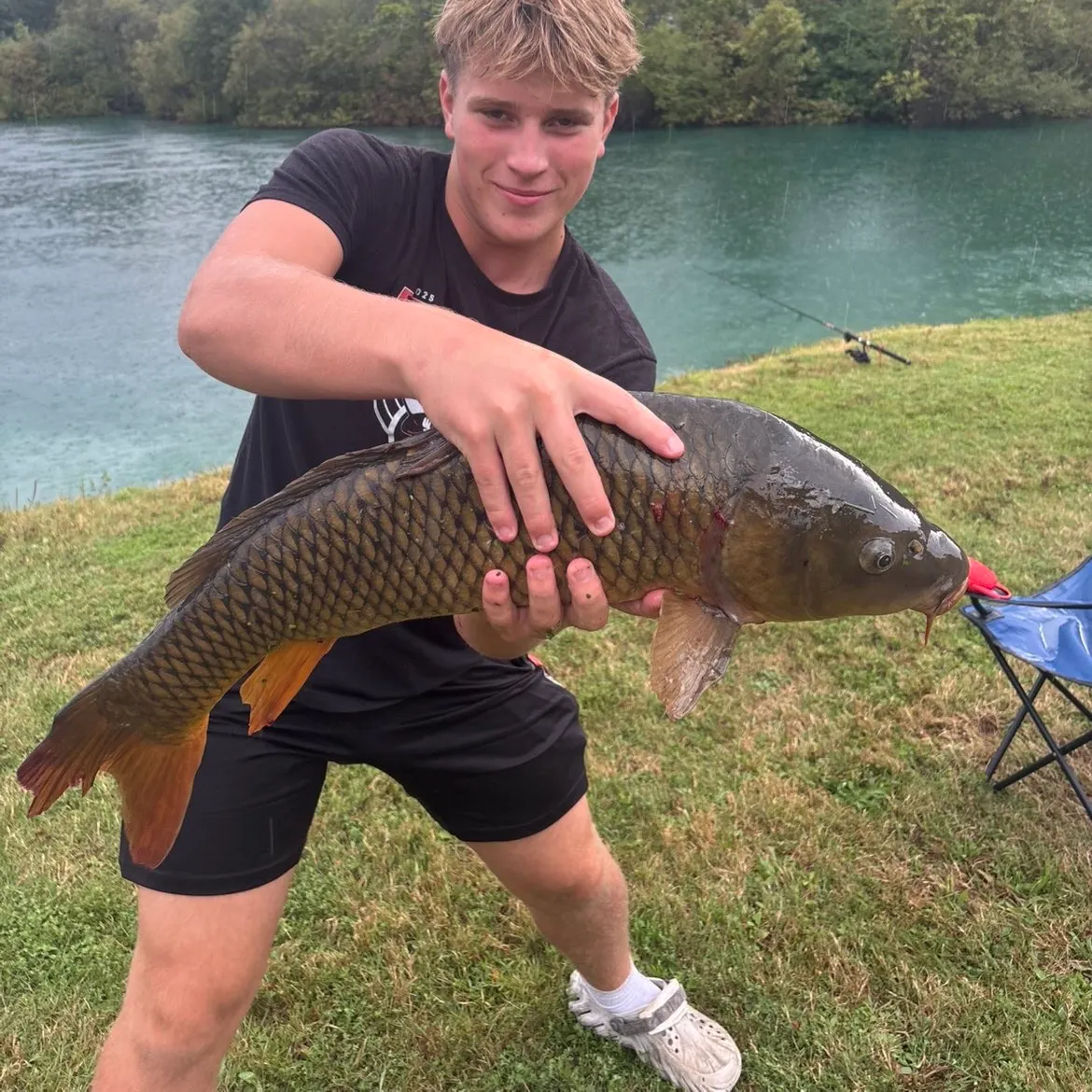 Common carp caught on Fishbrain