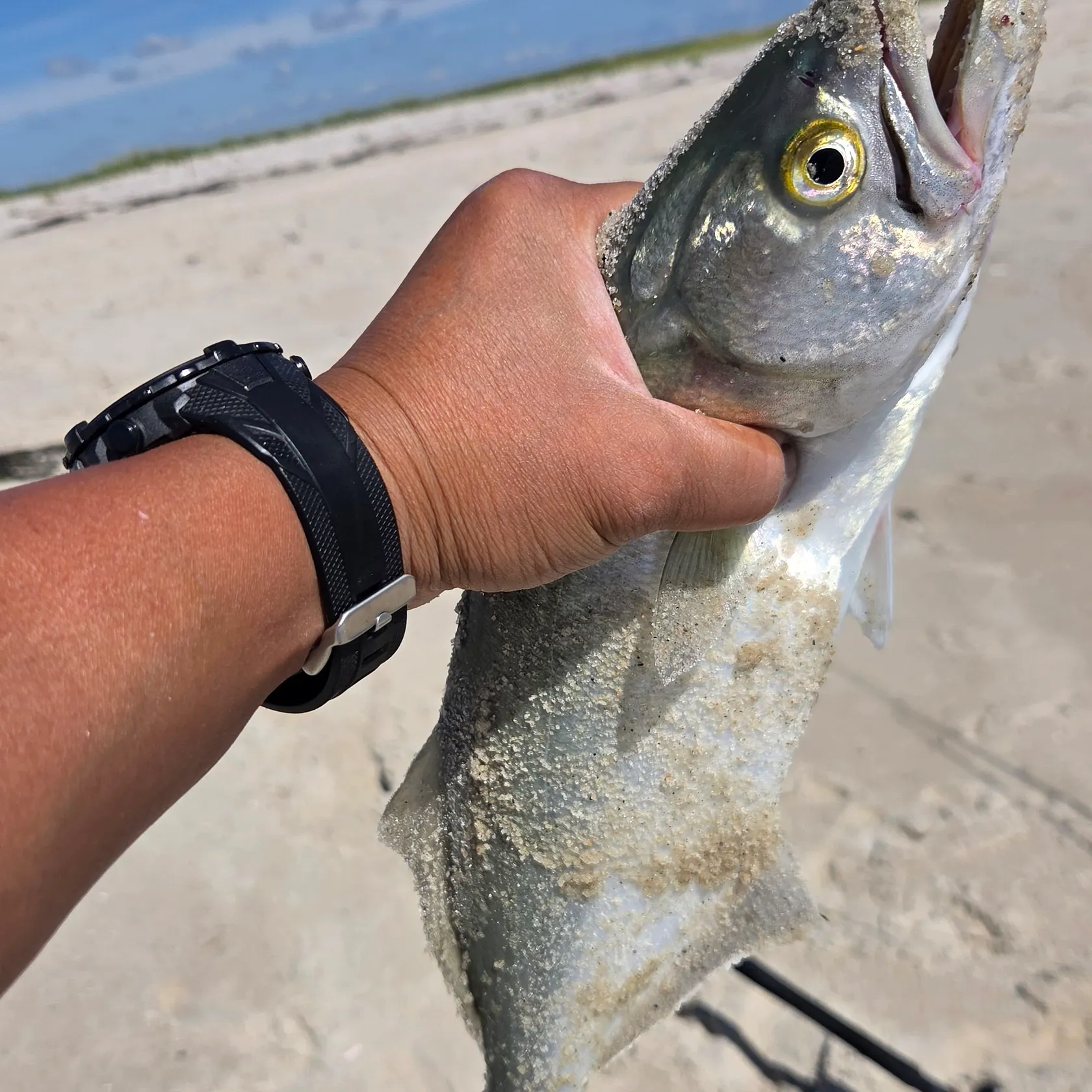 catch