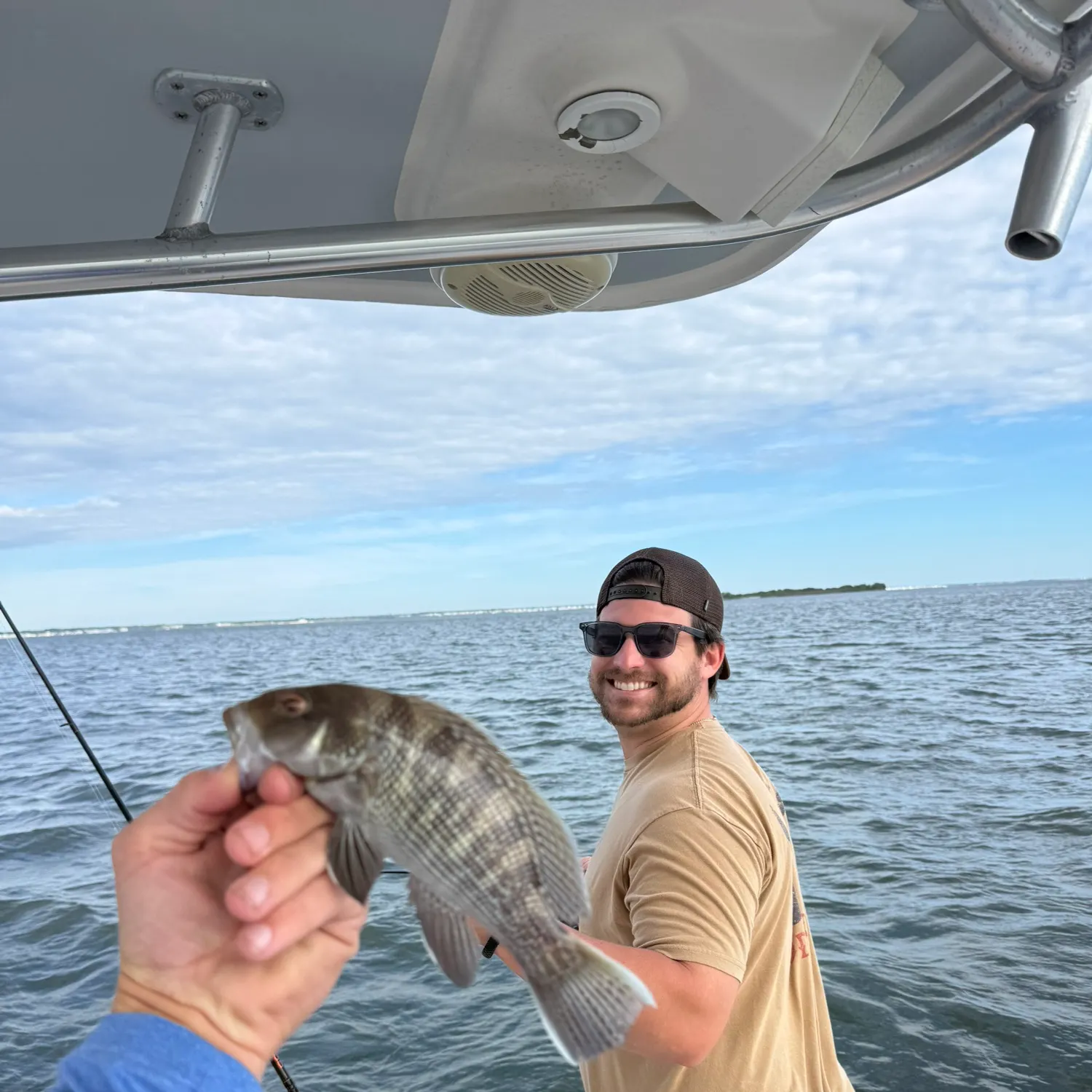 Black sea bass caught on Fishbrain
