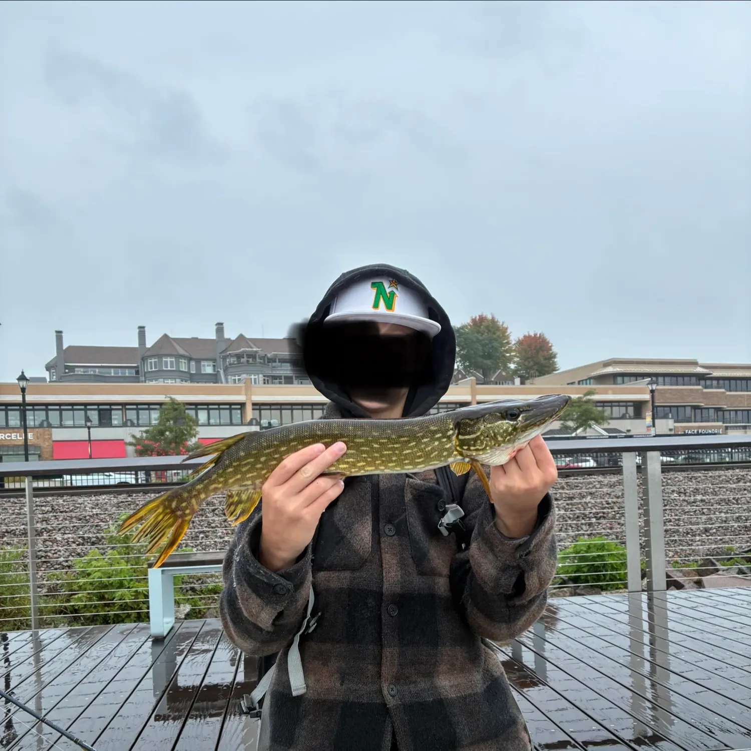 Northern pike caught on Fishbrain